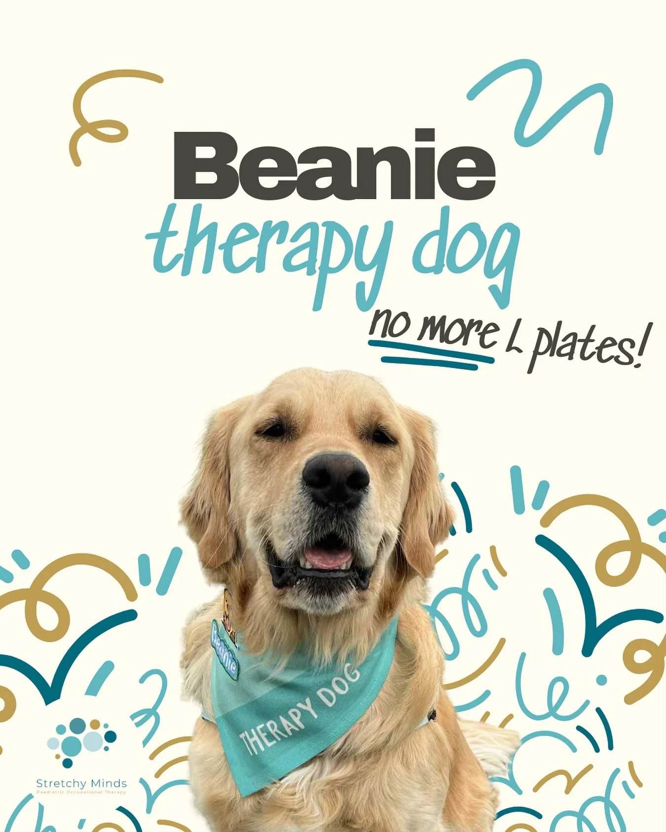 UPDATE FROM BEANIE - THERAPY DOG 🐶

An important message from Beanie: 
&ldquo;After a whole year of training, cuddles, and LOTS of love (plus a few sticks 🍂) I can finally take off my L plate! 🎓

I&rsquo;m now a Certified Therapy Dog - ready to sp