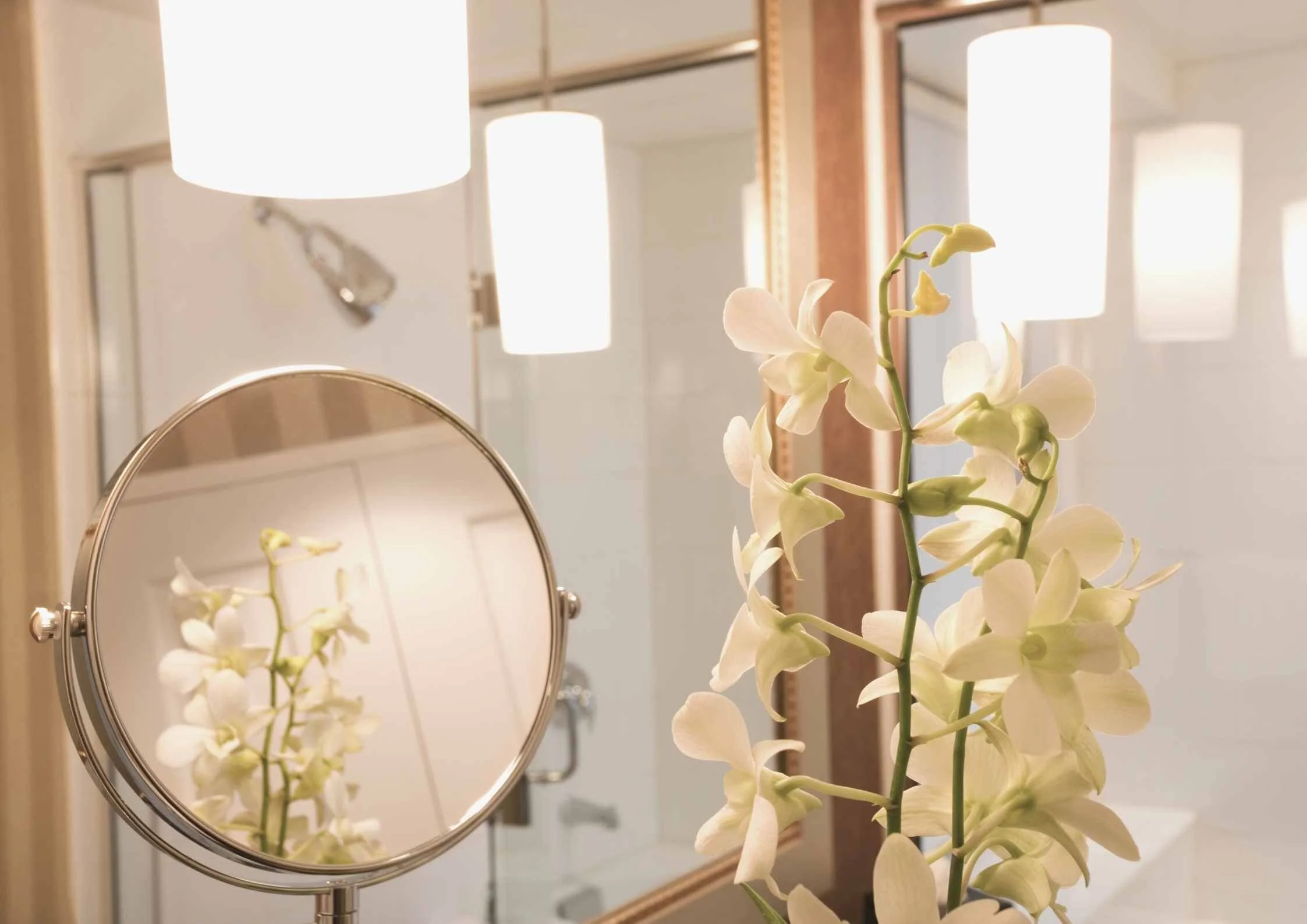 The Best Light Bulbs for Vanity Area