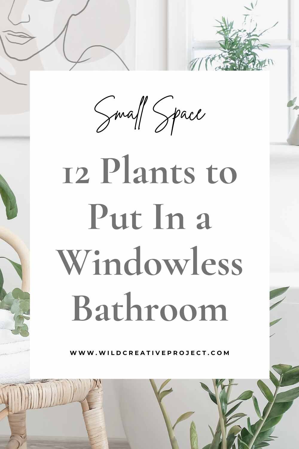 12 Plants That Have No Problem Growing In a Windowless Bathroom