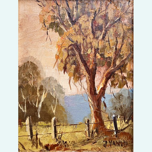 John Vander Gum Tree_2T.jpg