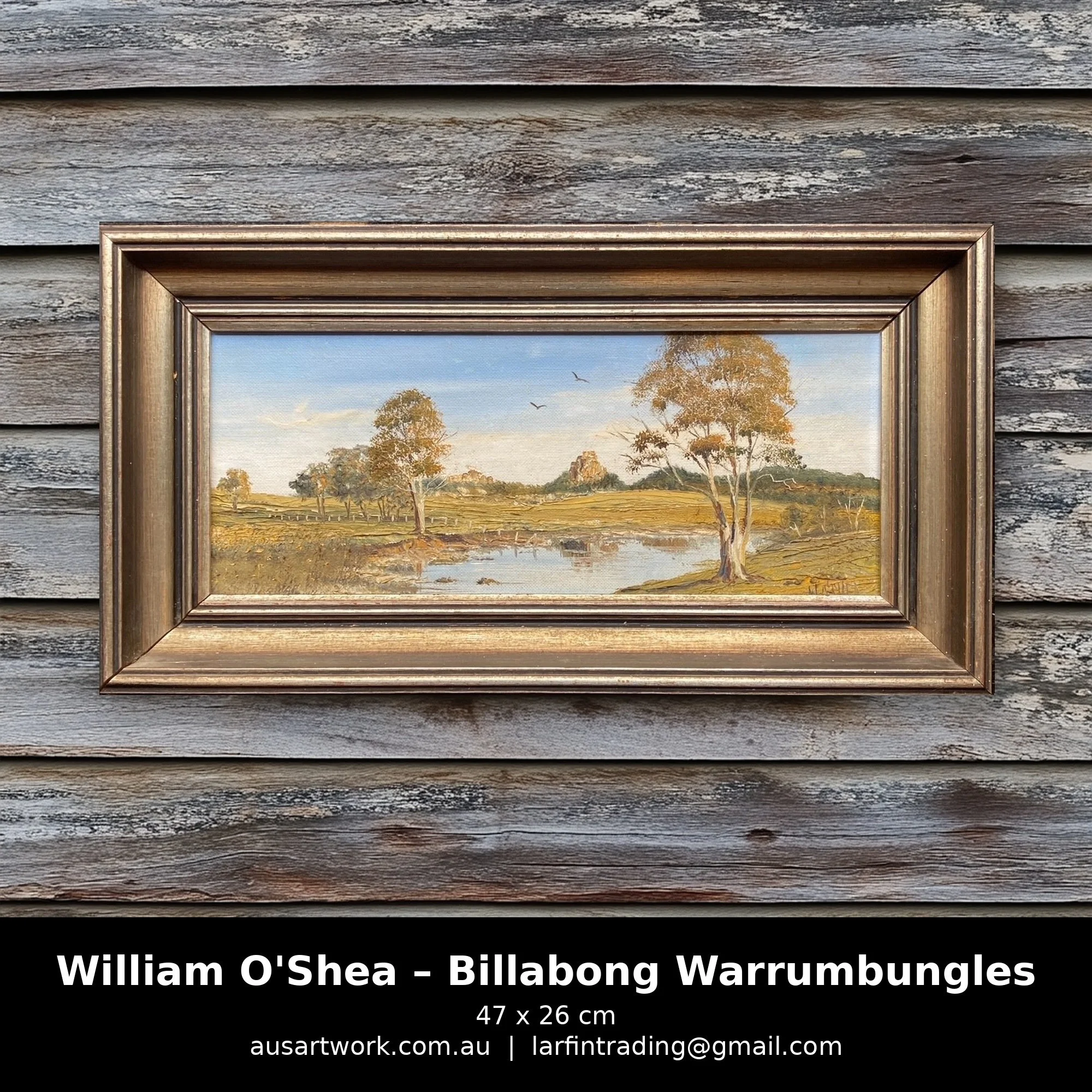 William Bill O'Shea painting - Warrumbungles Billabong