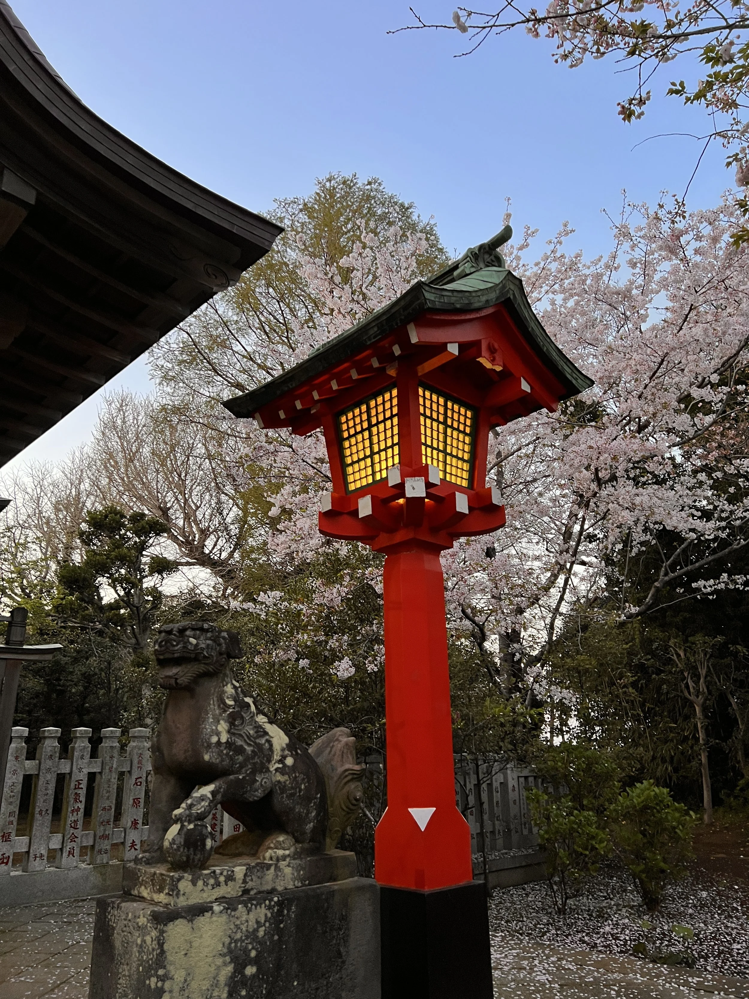 ENOSHIMA ISLANDIMG_9909.JPG