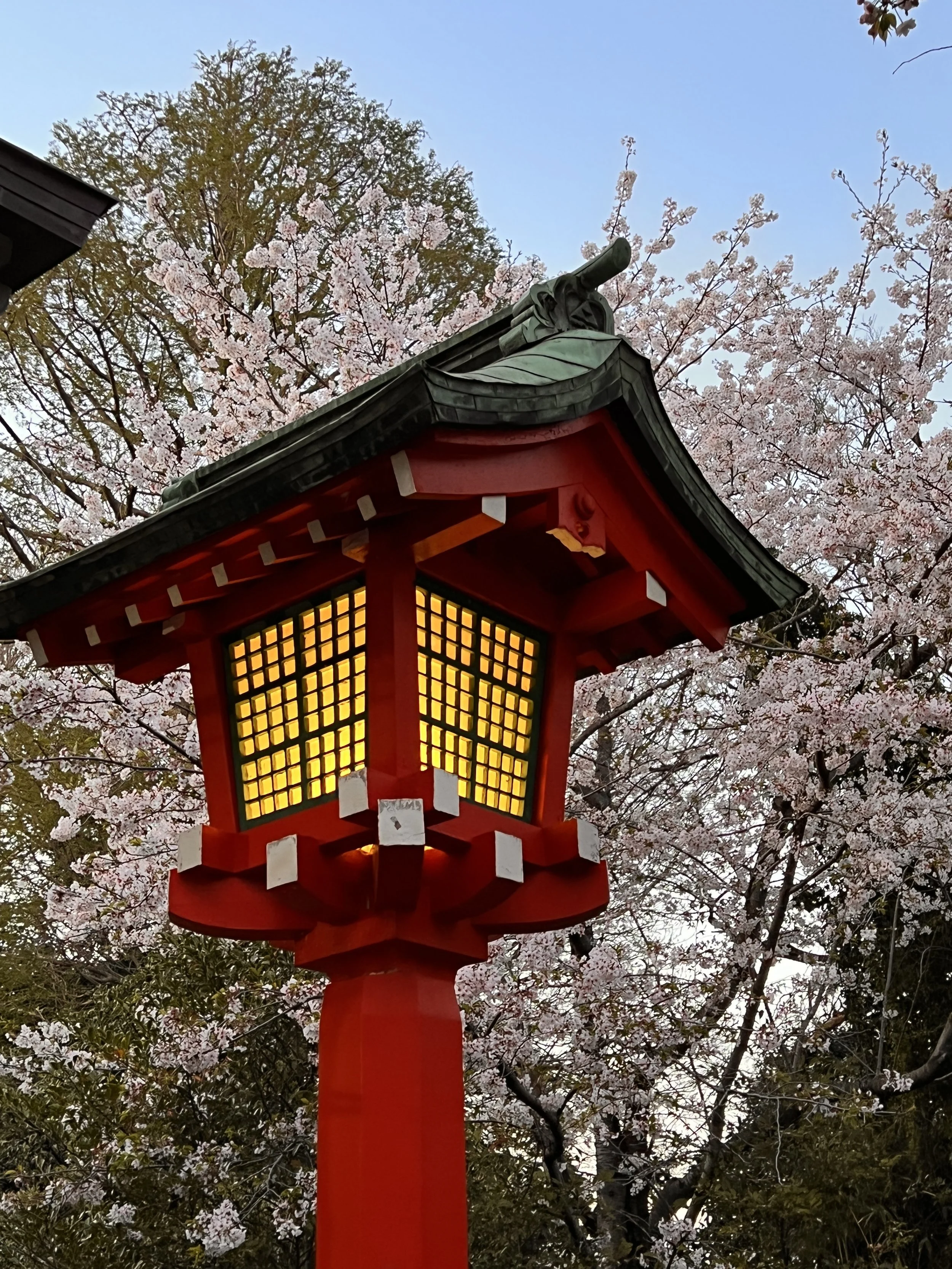 ENOSHIMA ISLANDIMG_9911.JPG