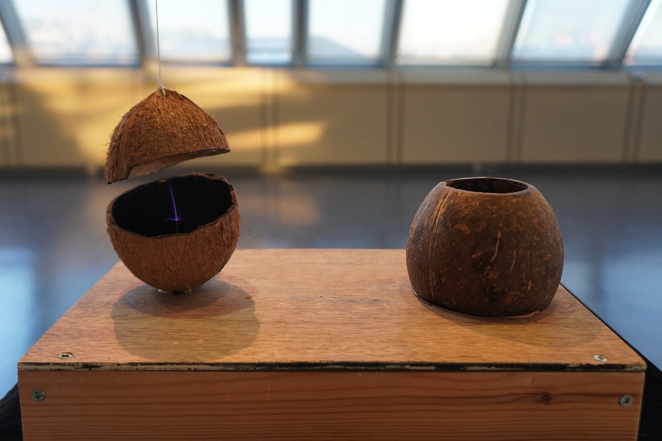 VESSELS 3.0 corporeal coconut conduit conversation