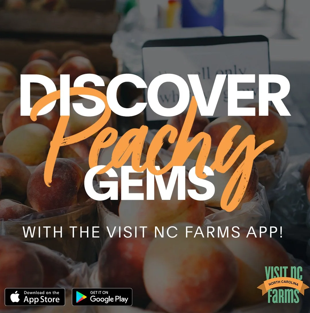 North Carolina Peaches are the Best — Visit NC Farms