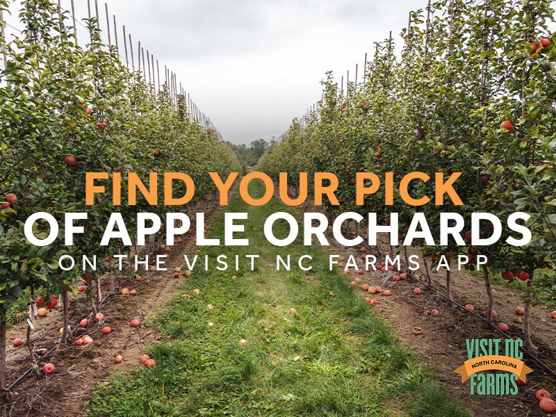 VisitNC Farms App to Help Local Agribusiness