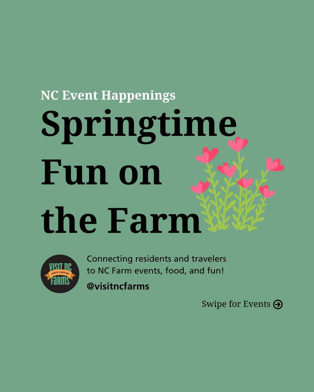 Get in the spring and Easter spirit at these awesome, family-fun events happening this month! 🌼

➡️ Sampson County Ag Day @ncce_sampsonco 🌾 Saturday, March 23rd from 10am-4pm
➡️ Spring Farm Day at @sunshinelavenderfarmnc 💜 Saturday, March 23rd fro