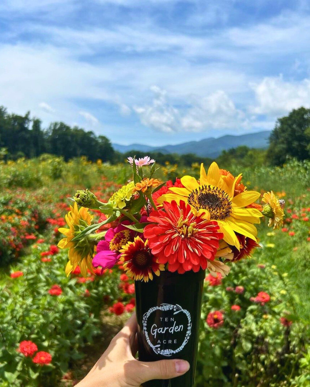 Do you live near Asheville? 🗻Do you love farm veggies, u-pick berries and fresh cut flowers? 🍓🌸Then you should know about @thetenacregarden! This farm with over 150-years of history is holding a Grand Re-Opening event on Saturday, April 27th. ✨

T