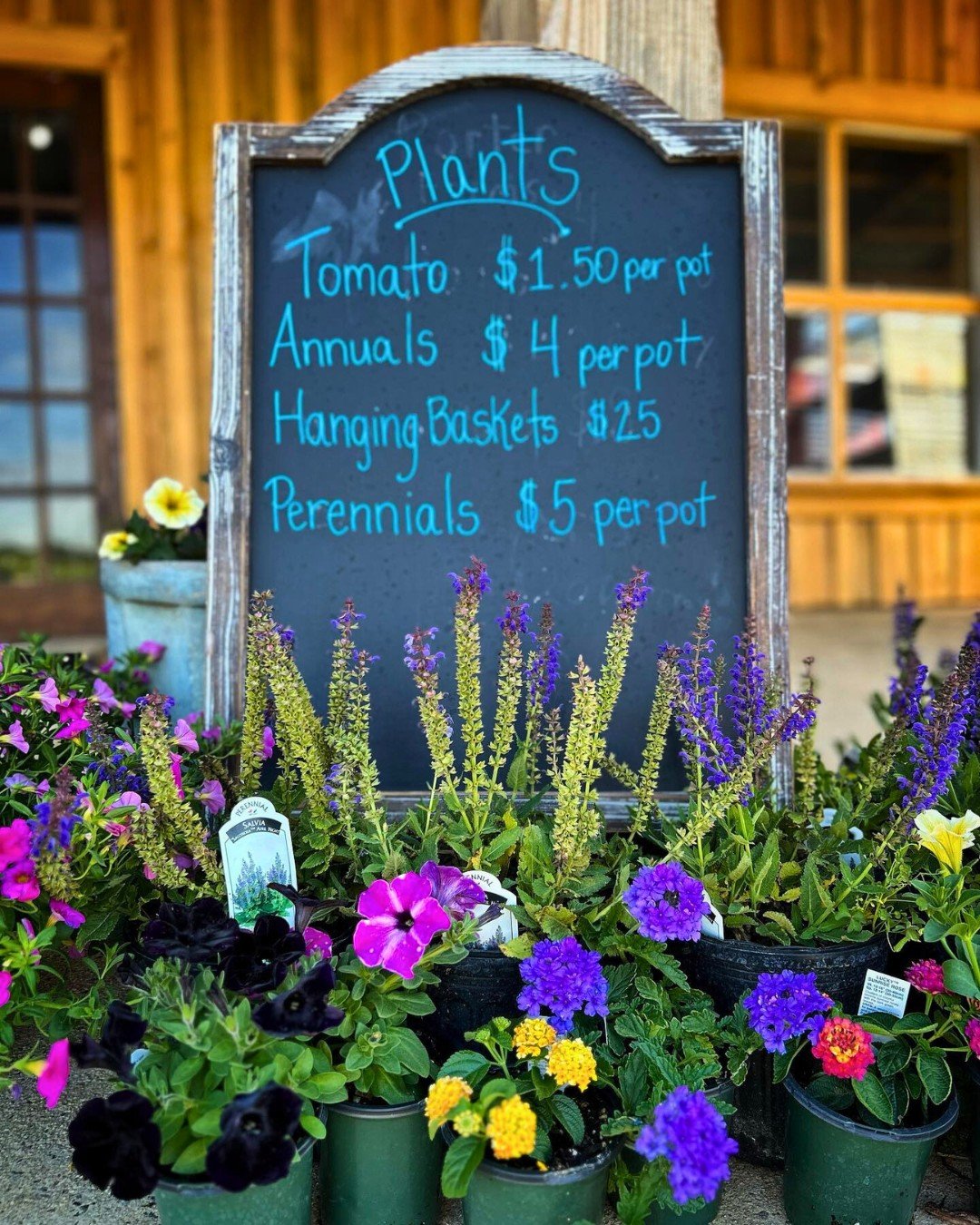 If you're in Cabarrus County, be sure to stop in the @porterfarmsnc farm store! ☀️This 4th-generation family farm carries a large variety of non-GMO, grass-fed beef from their own cattle, as well as TONS of products from other local farms. 🐄 You'll 