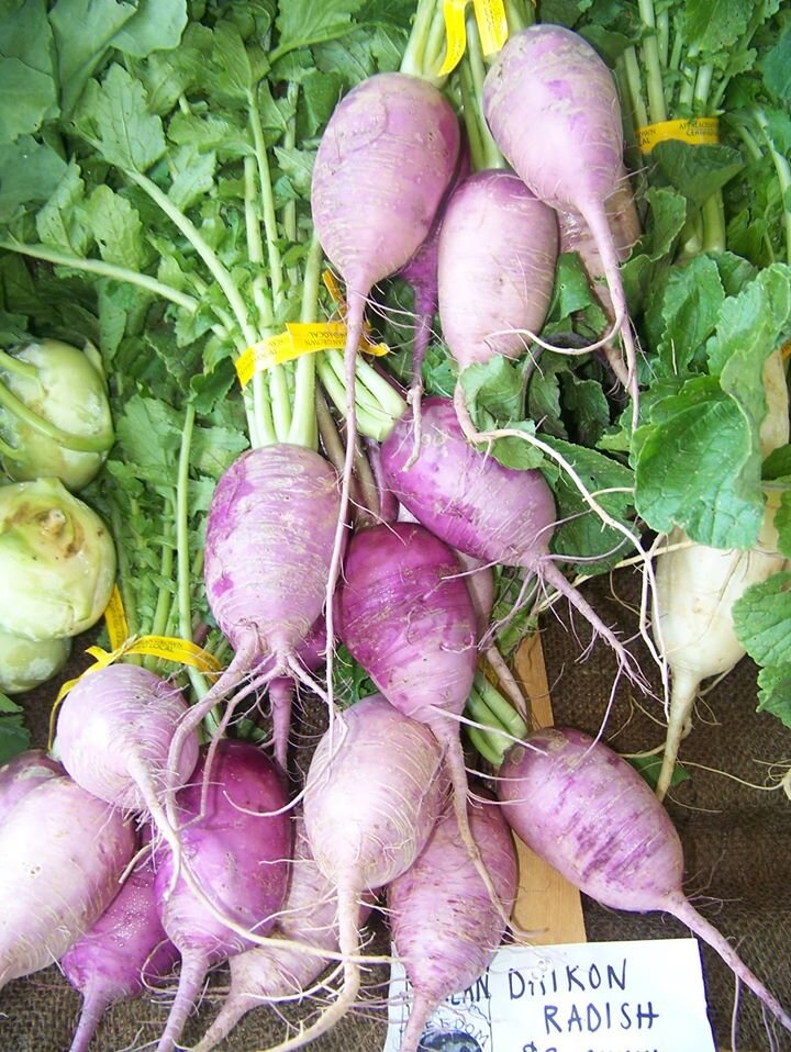 State Farmers Markets — Visit NC Farms