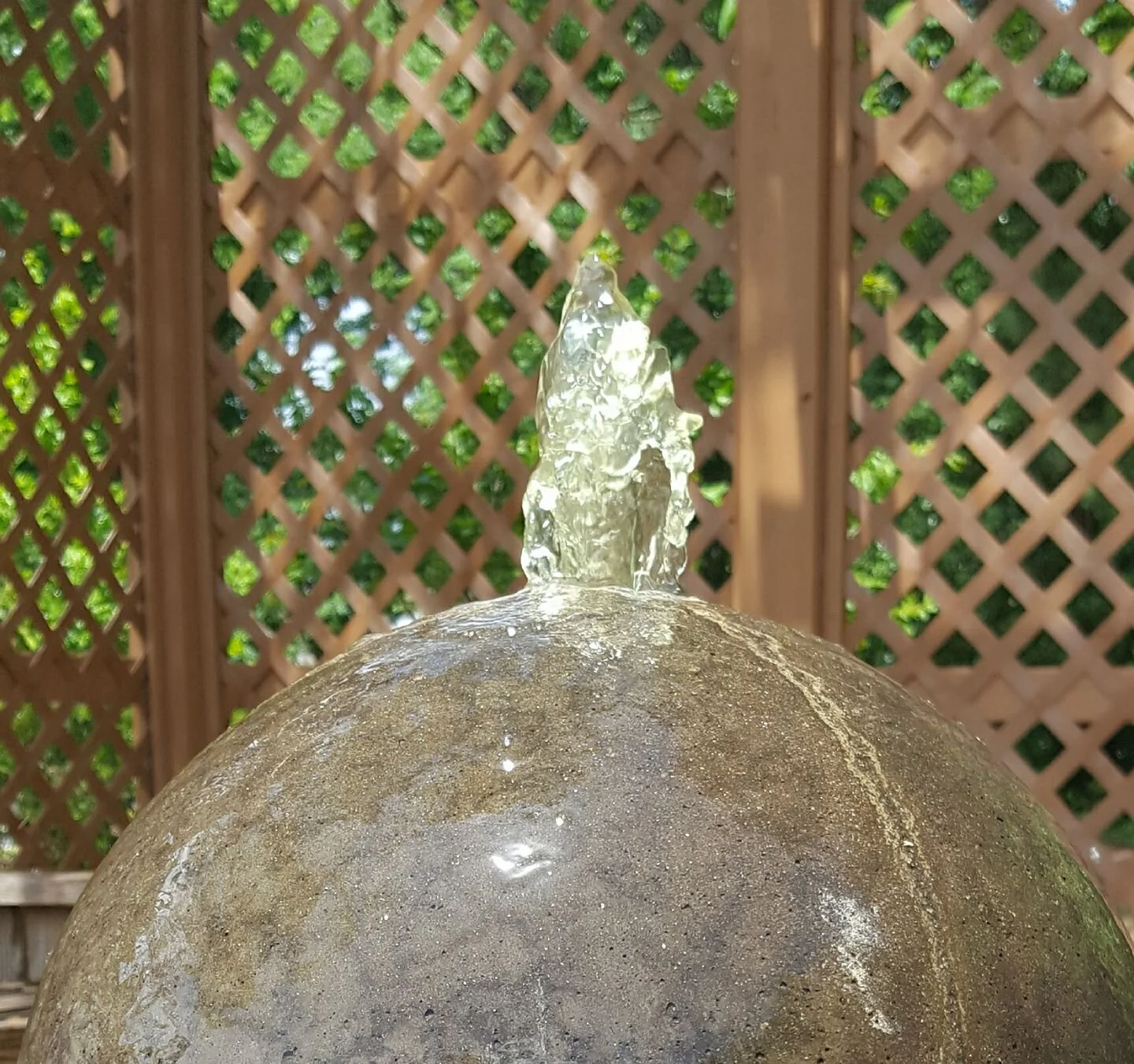 Wilson County — Visit NC Farms