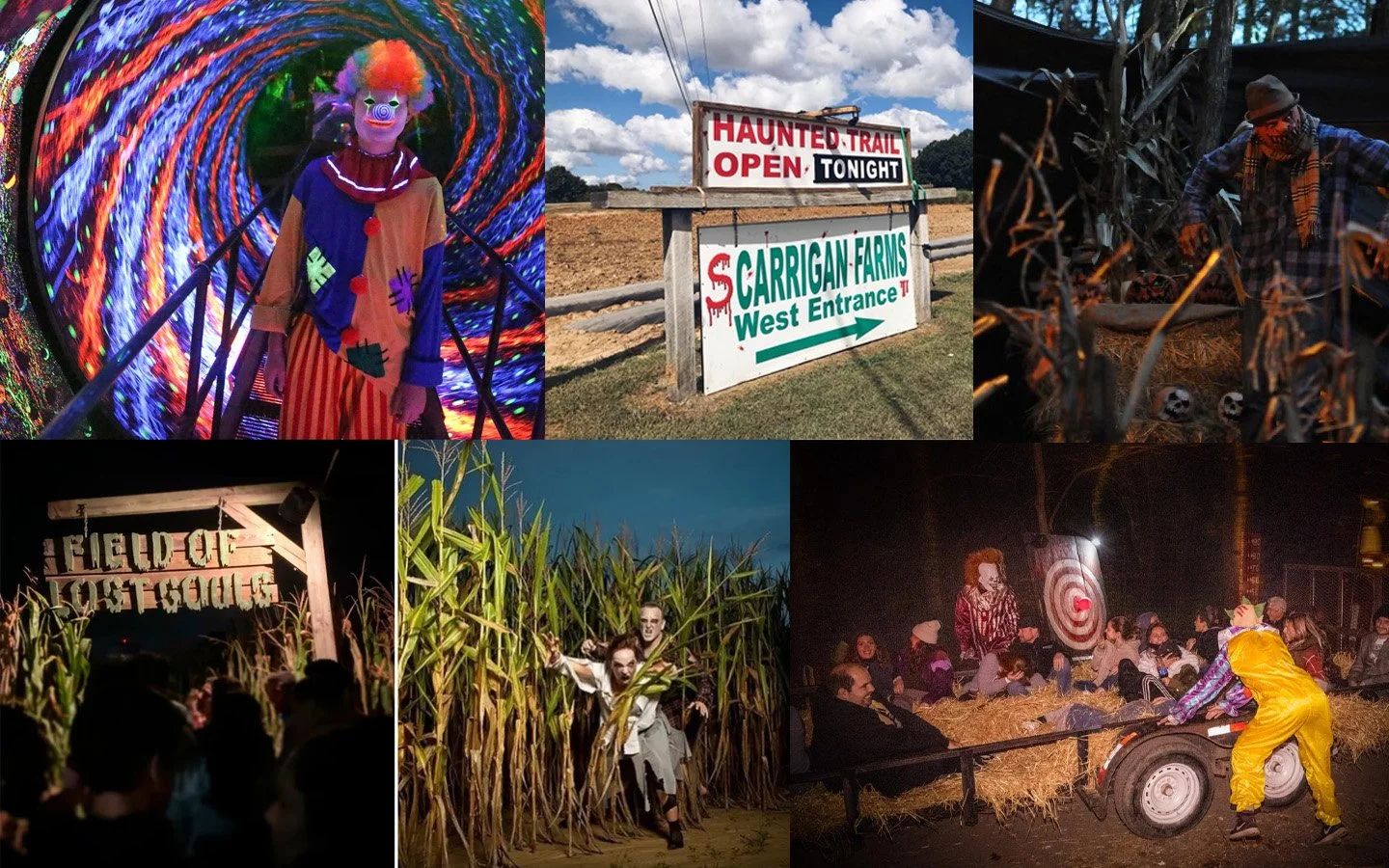 Haunted Farms, Houses and Hayrides in North Carolina — Visit NC Farms
