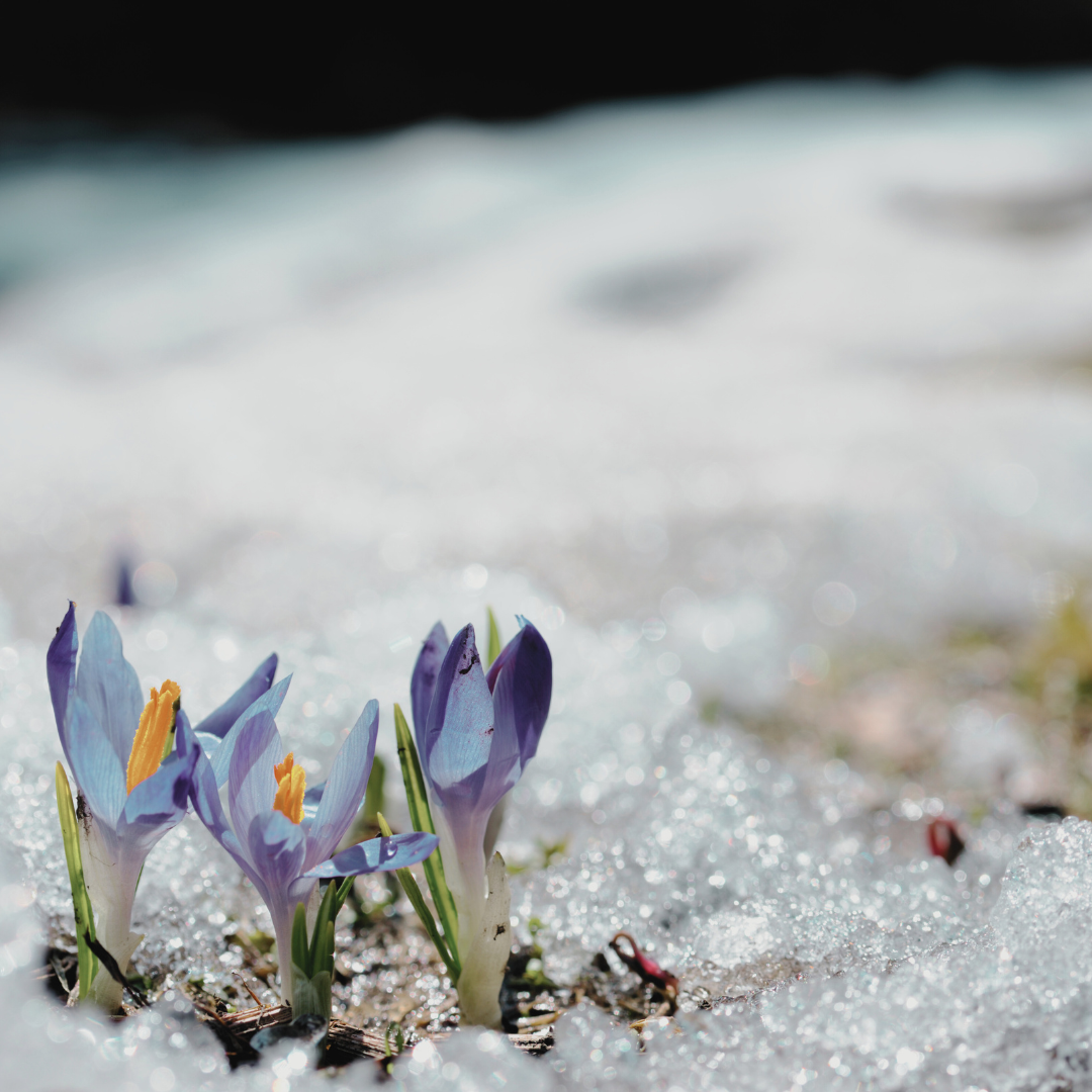 You Were Wired for Change