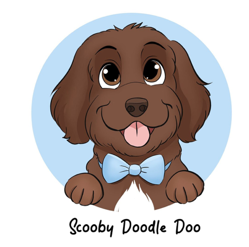 scooby doodle doo australian labradoodles - Miami - responsible breeding  program, ethical breeder for Australian Labradoodle