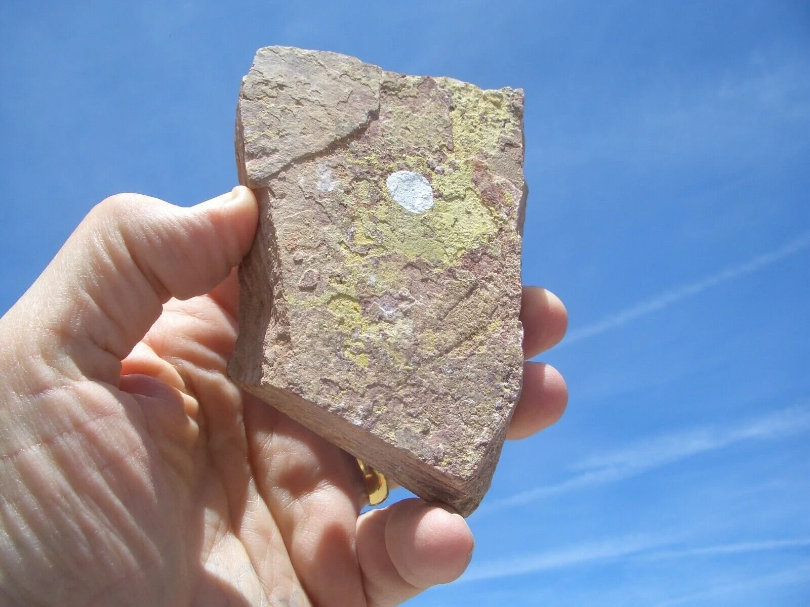 JURASSIC TODILTO LIMESTONE: URANIUM ORE ROCK 12.3 OZ. 86K