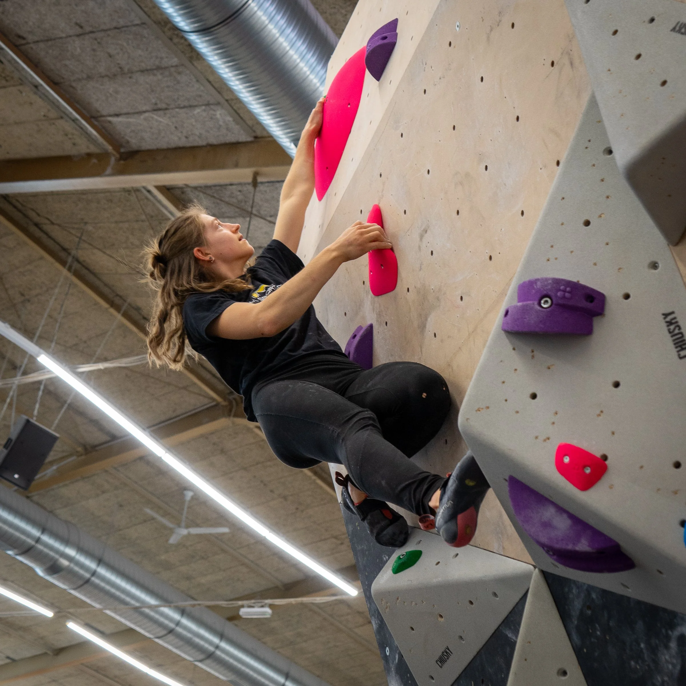 schrauben_240327-4.jpg