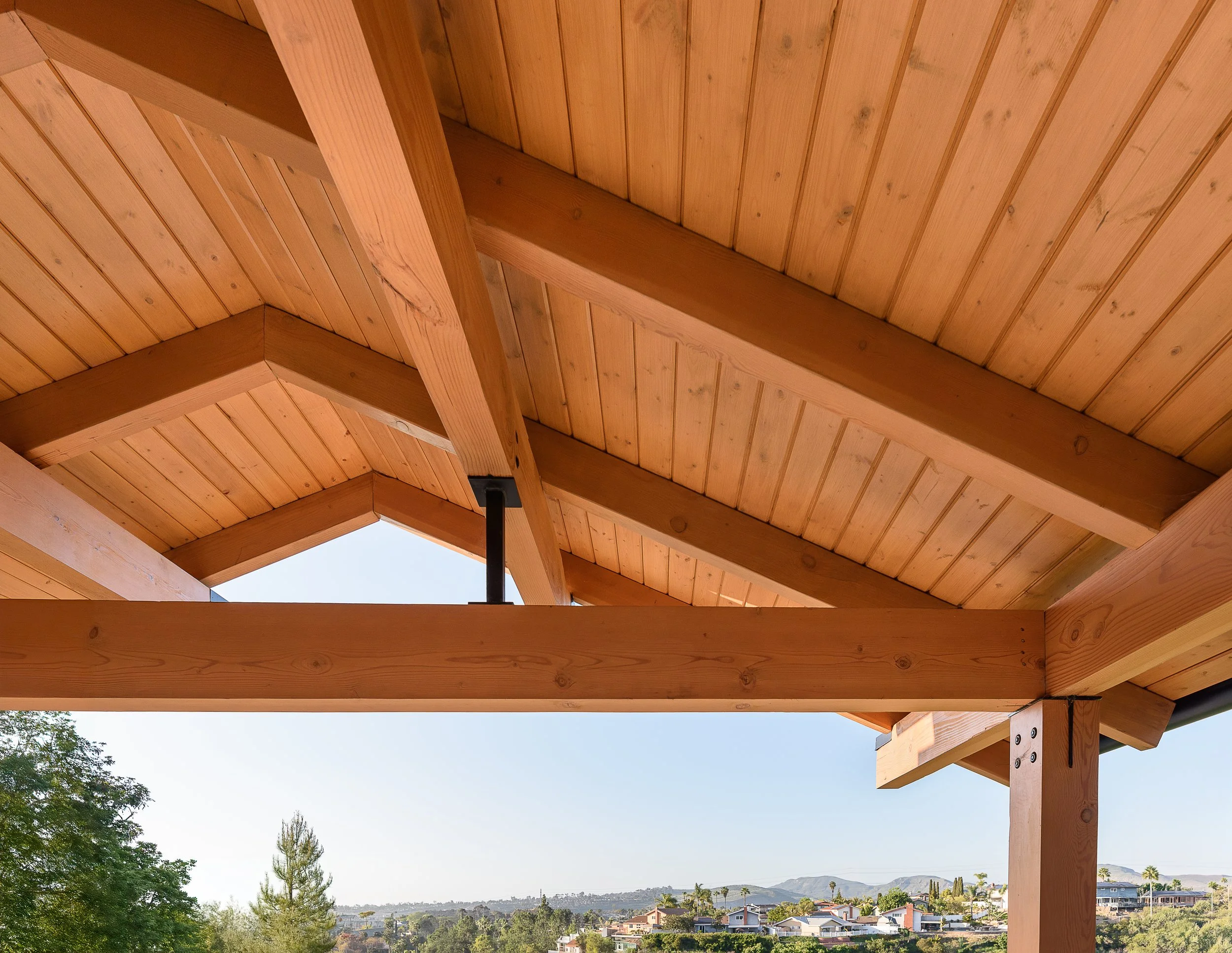 DCR_RoofDetail.jpg