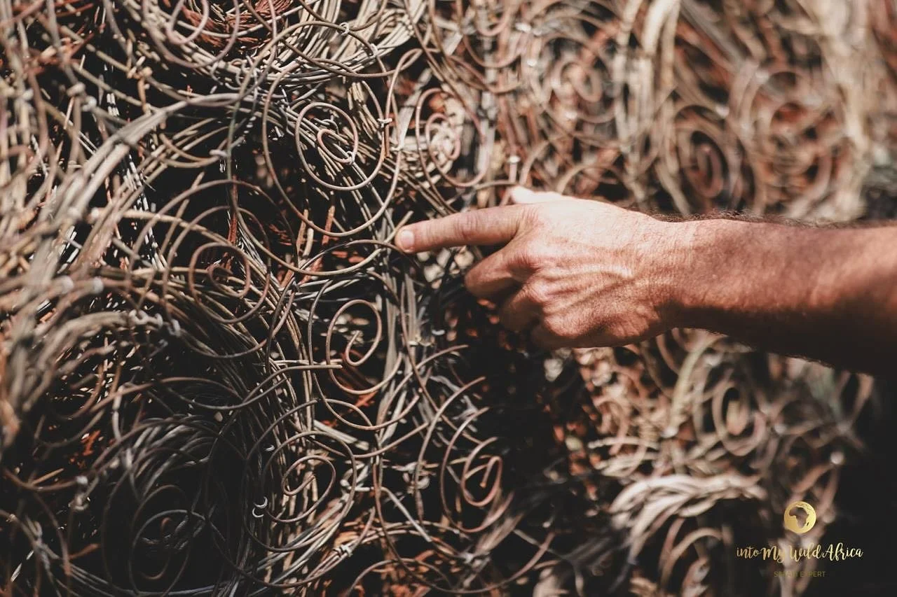 The snares, what we have taken of negative use and transformed into a spiral formπ to reinvent it to something positive for learning and awareness through the body of our beloved Rhino. Created by @k9_conservation 
Image: @douda_bis π