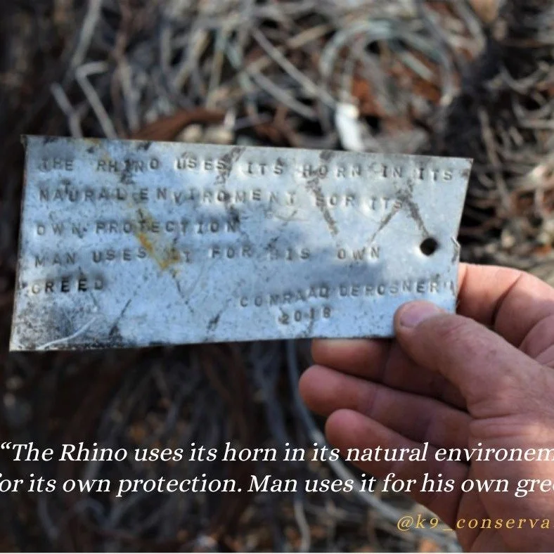 π¦ "The rhino uses its horn in its natural environment for its own protection.
Man uses it for his own greed."
That greed fuels the poaching crisis. It sets snares. It fires shots. It leaves both wildlife and those protecting it fighting t