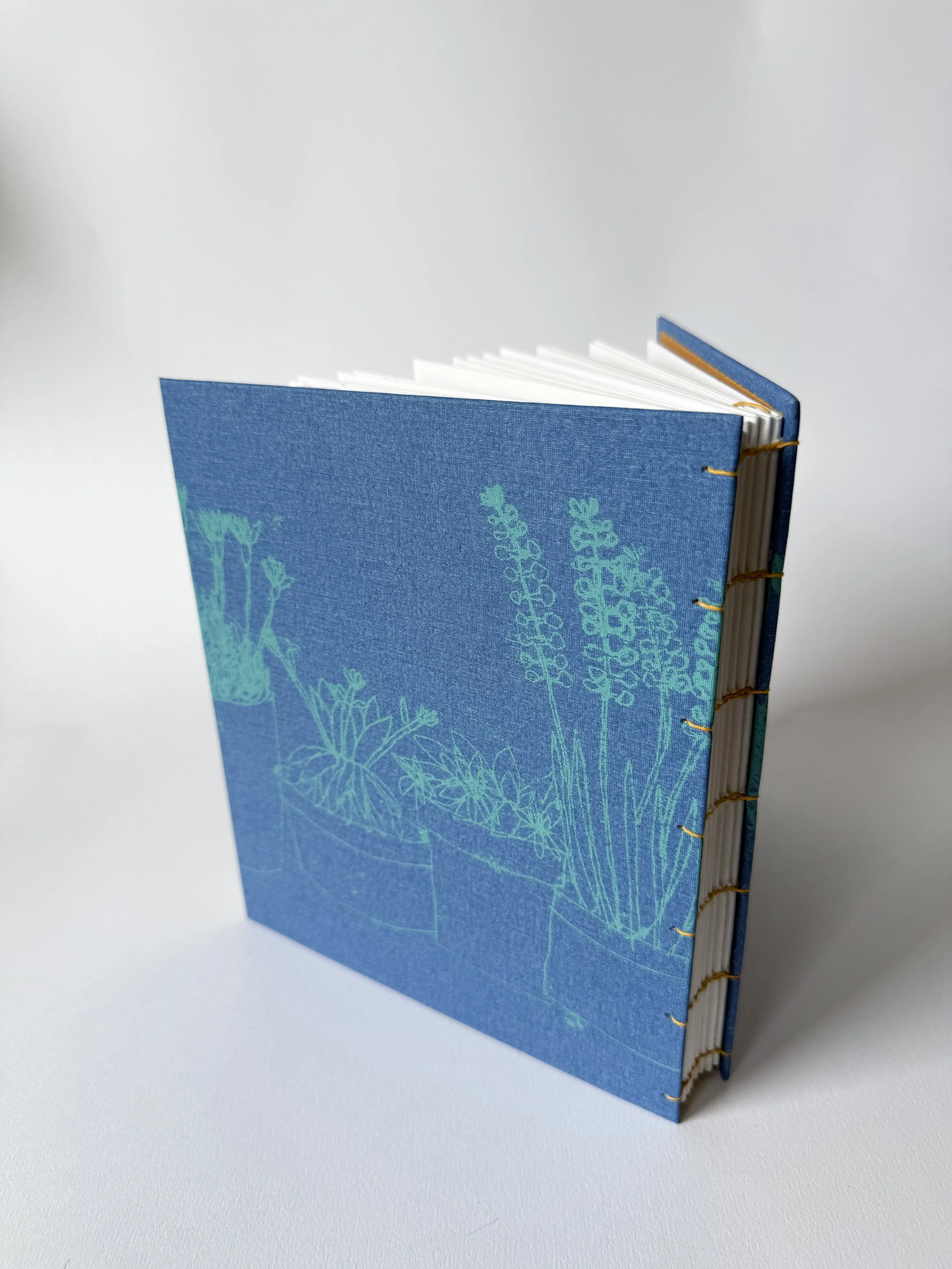 Plants Blue 04.jpg