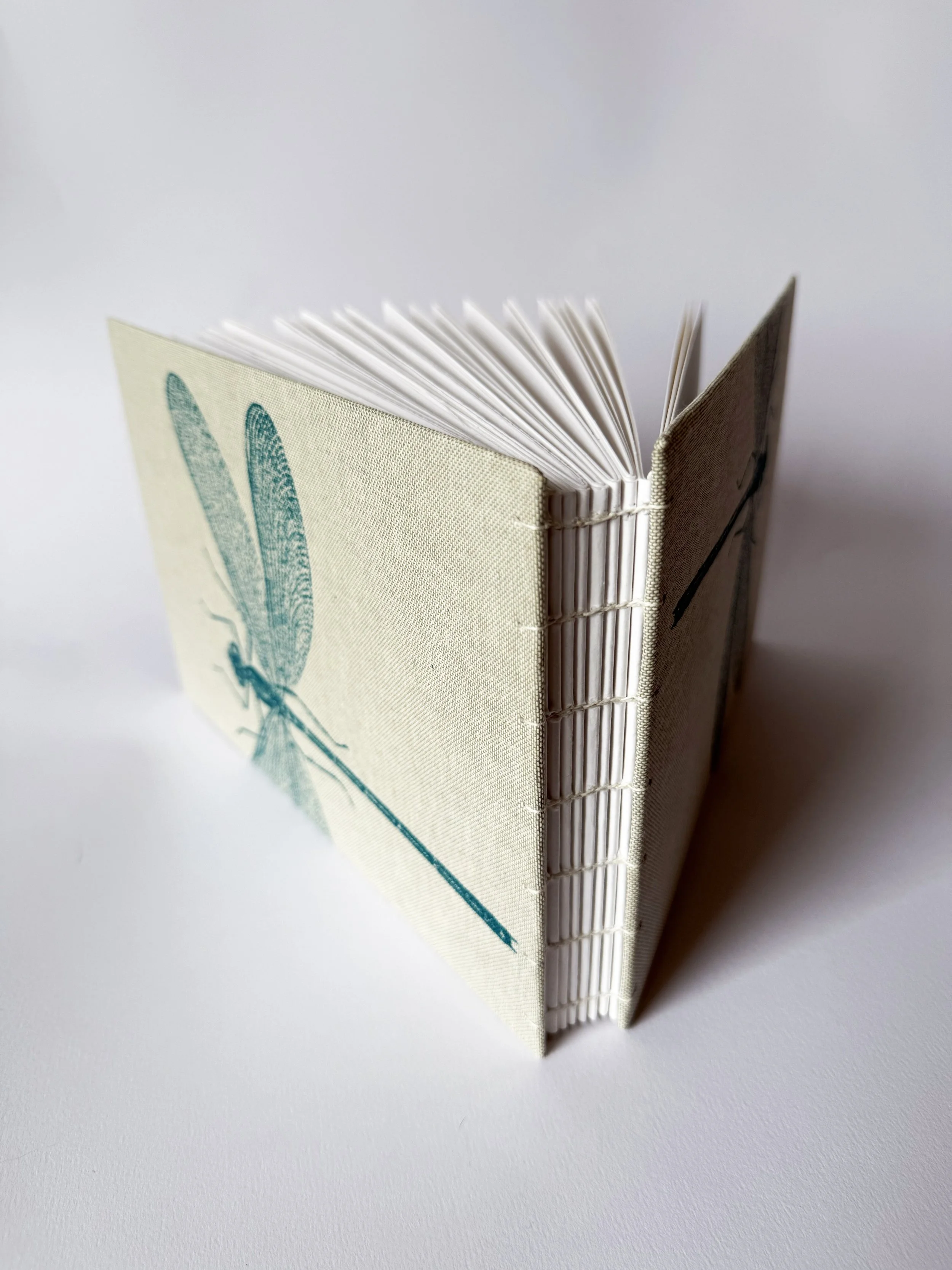 Dragonfly Natural Grey 02.jpg