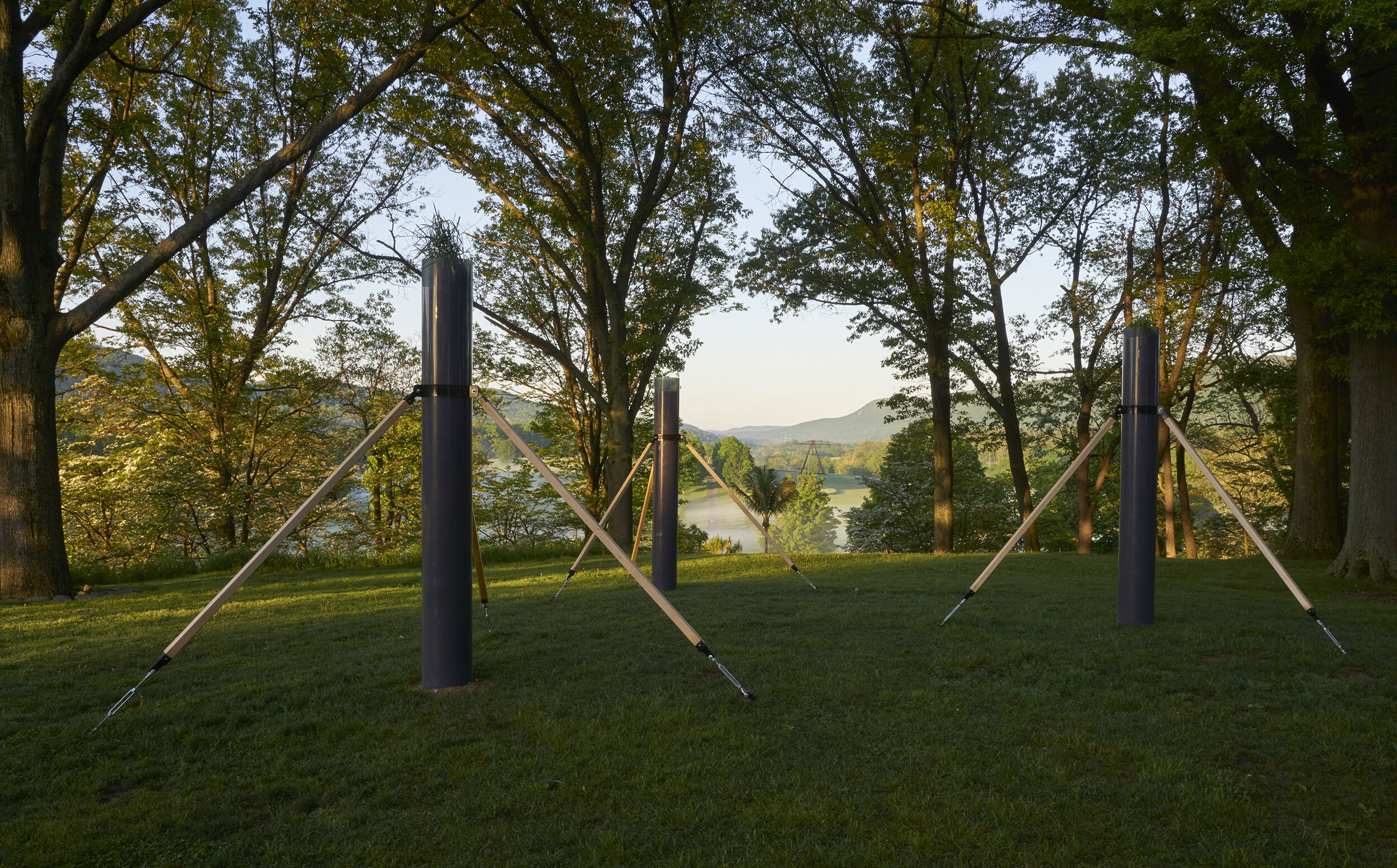      THE SECRET LIFE OF GRASSES | STORM KING ART CENTER