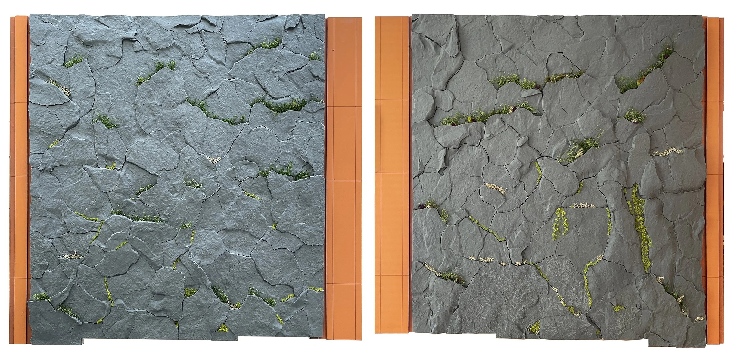 Parallel Nature_13.jpg