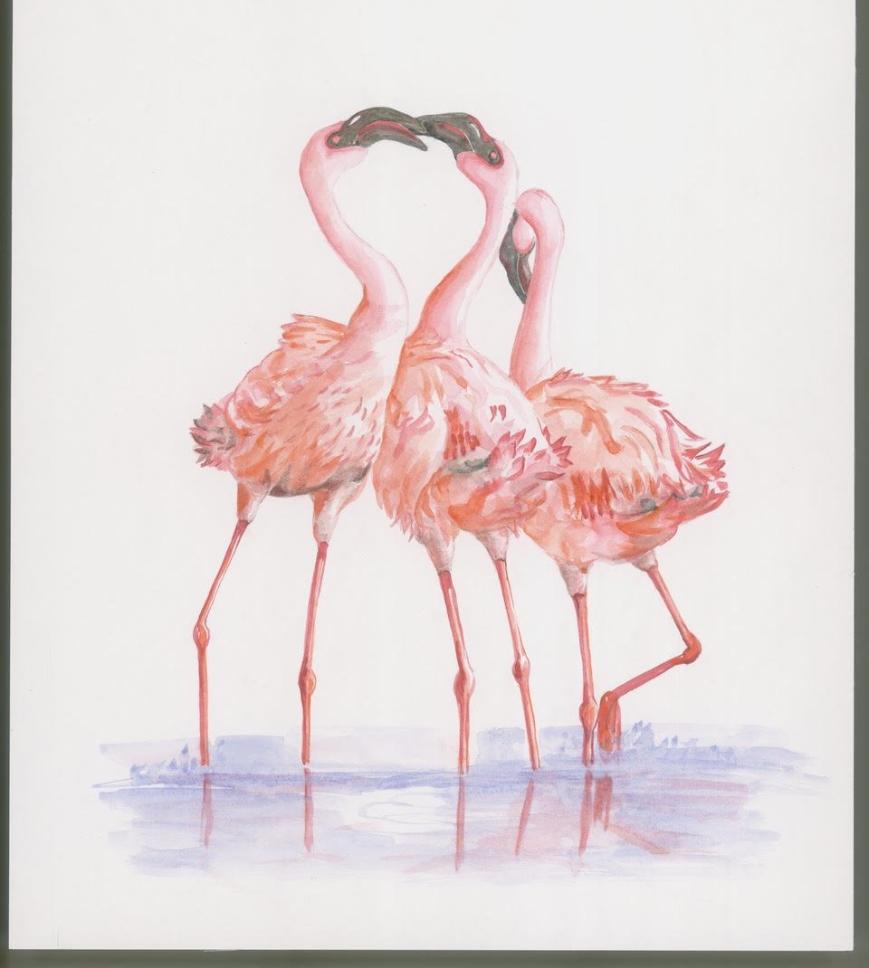 Susan Thomas - flamingos.jpg