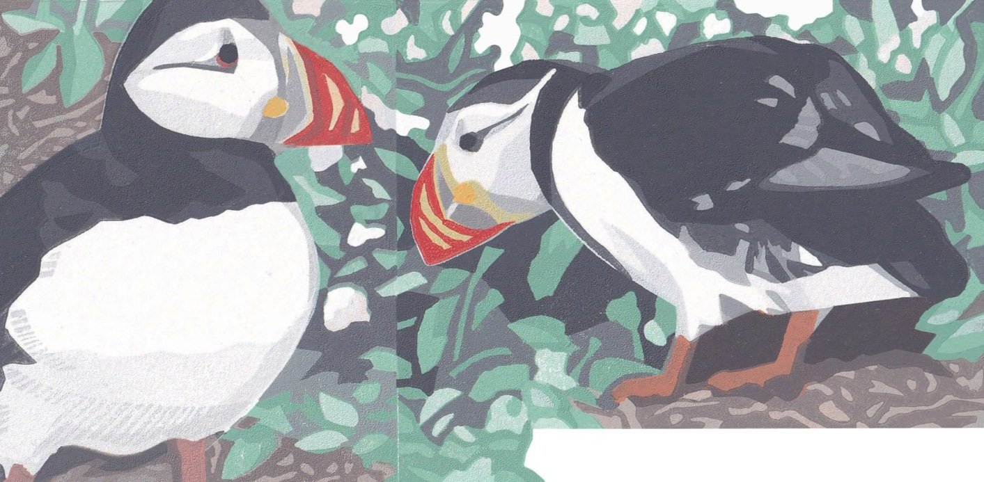 Puffins+%282%29.jpg