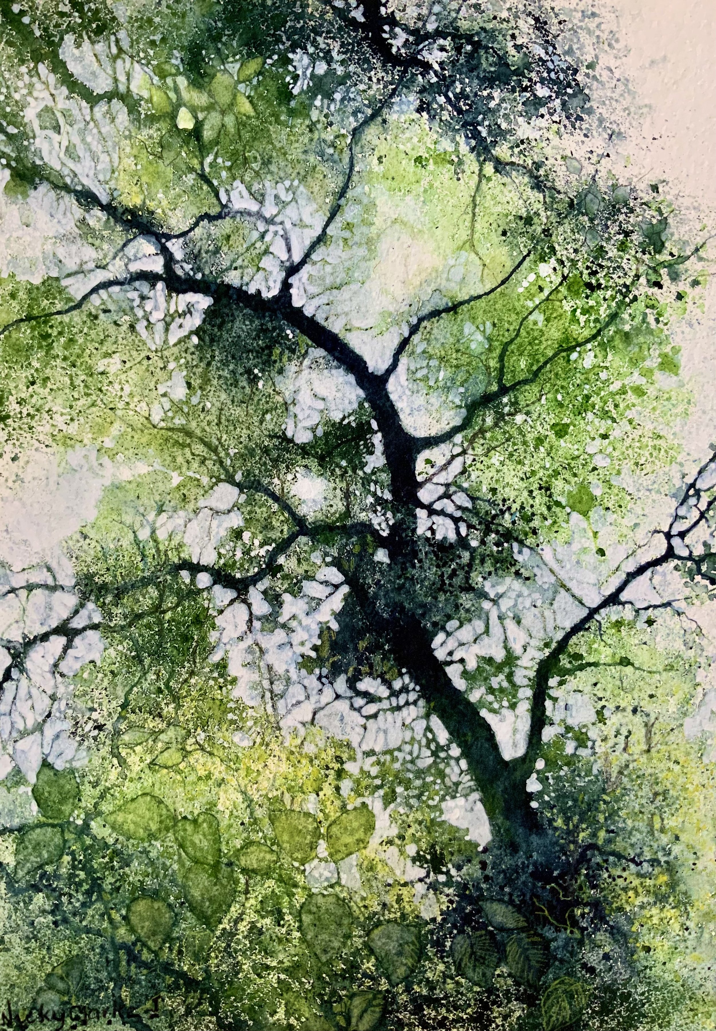Nicky Clarke - green trees.jpg