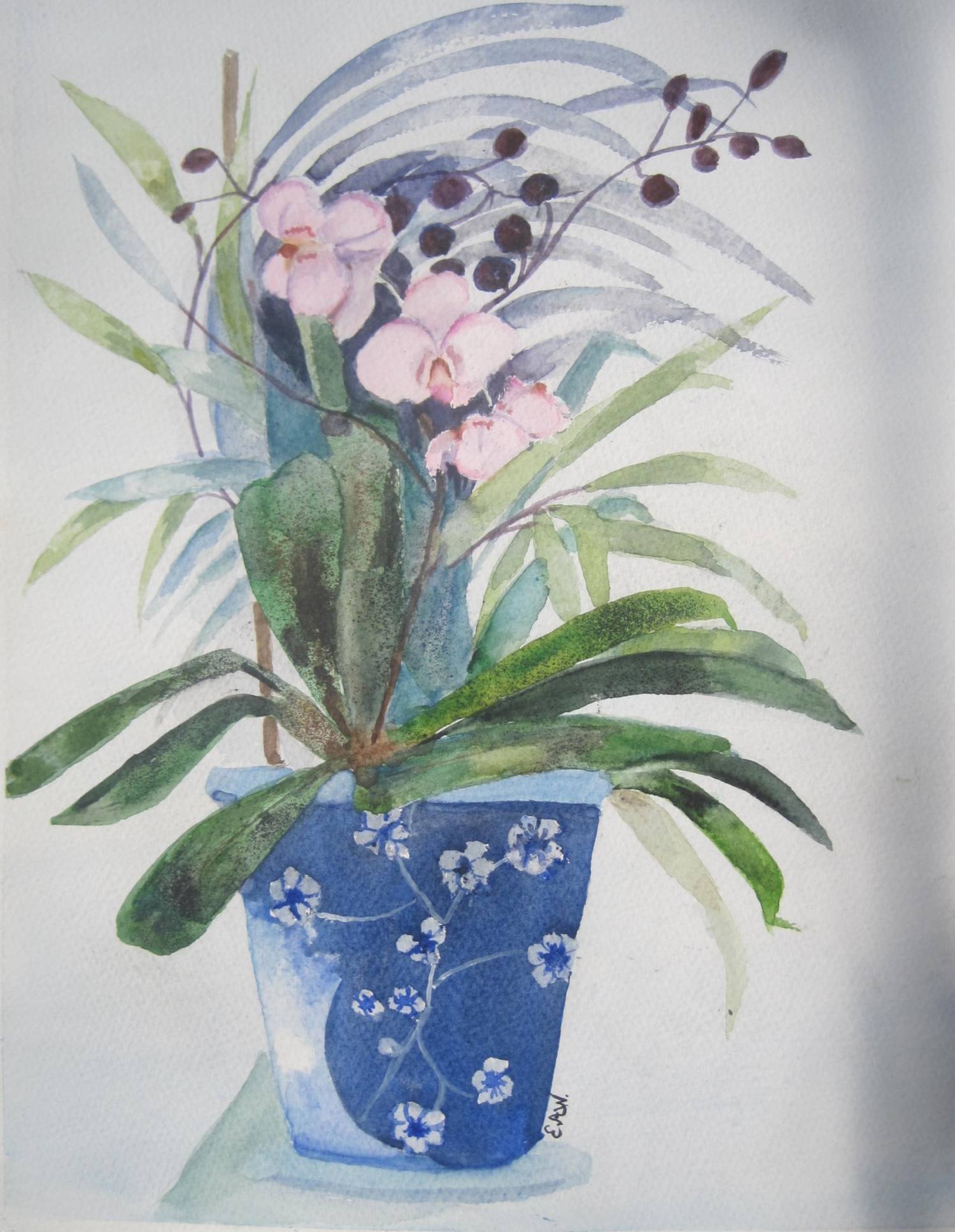 Elizabeth Webster-plant in blue vase.jpg