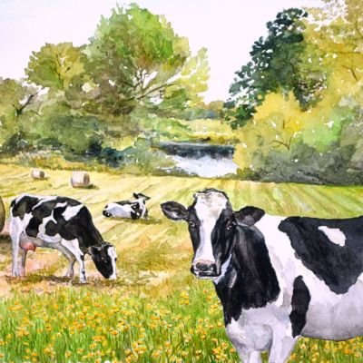 Fay Edmondson - cows.jpg