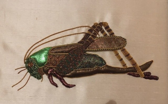 Daphne Knott - grasshopper.jpeg