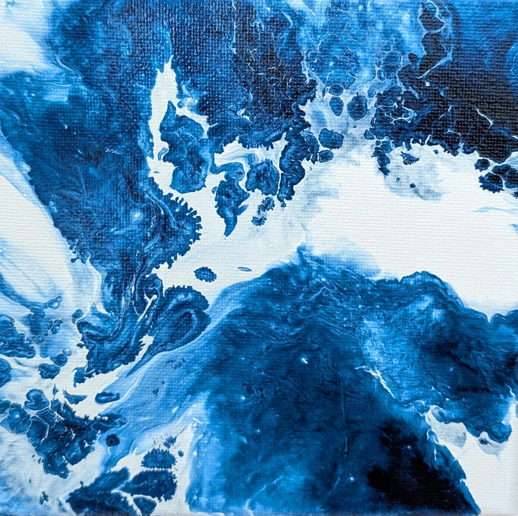 Jessica Tildesley.jpg