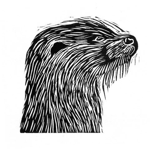 Otter.jpg
