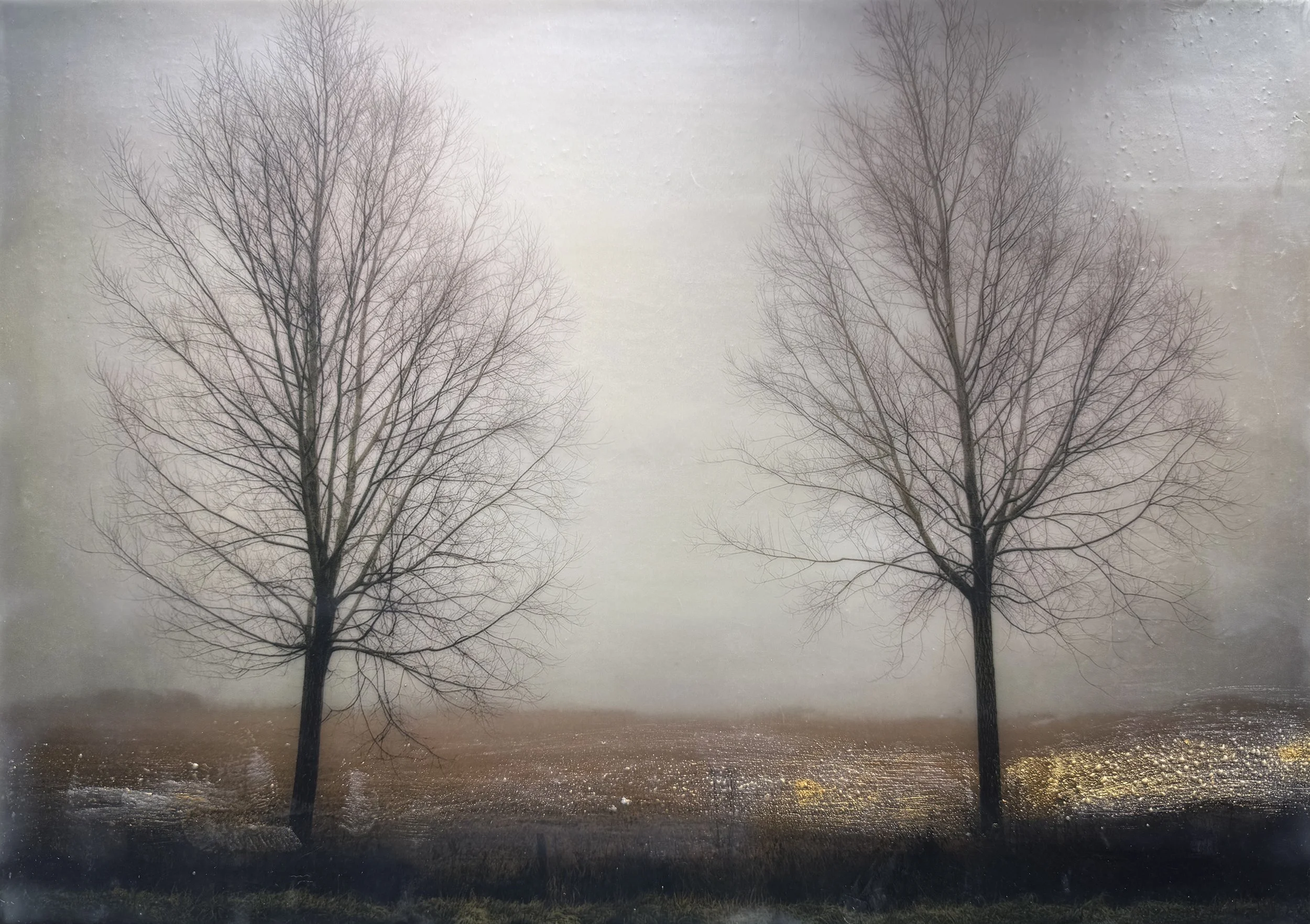 j_riche_Rowans_in_the_Morning_Fog_33_42cm.jpg