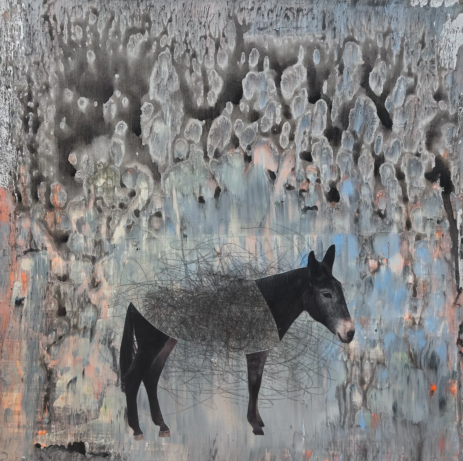 donkey-webbright.jpg