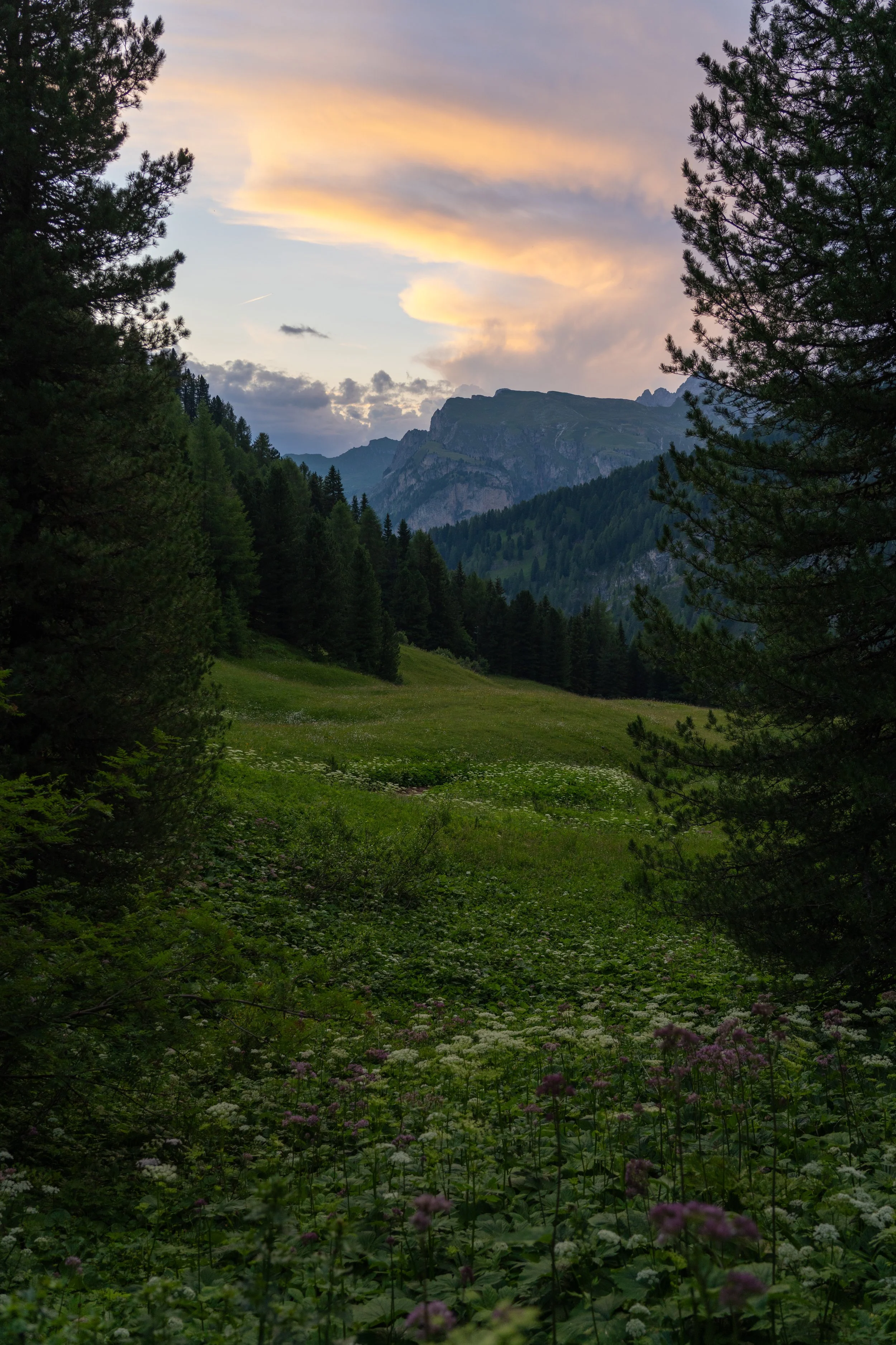 A7R01430.jpg