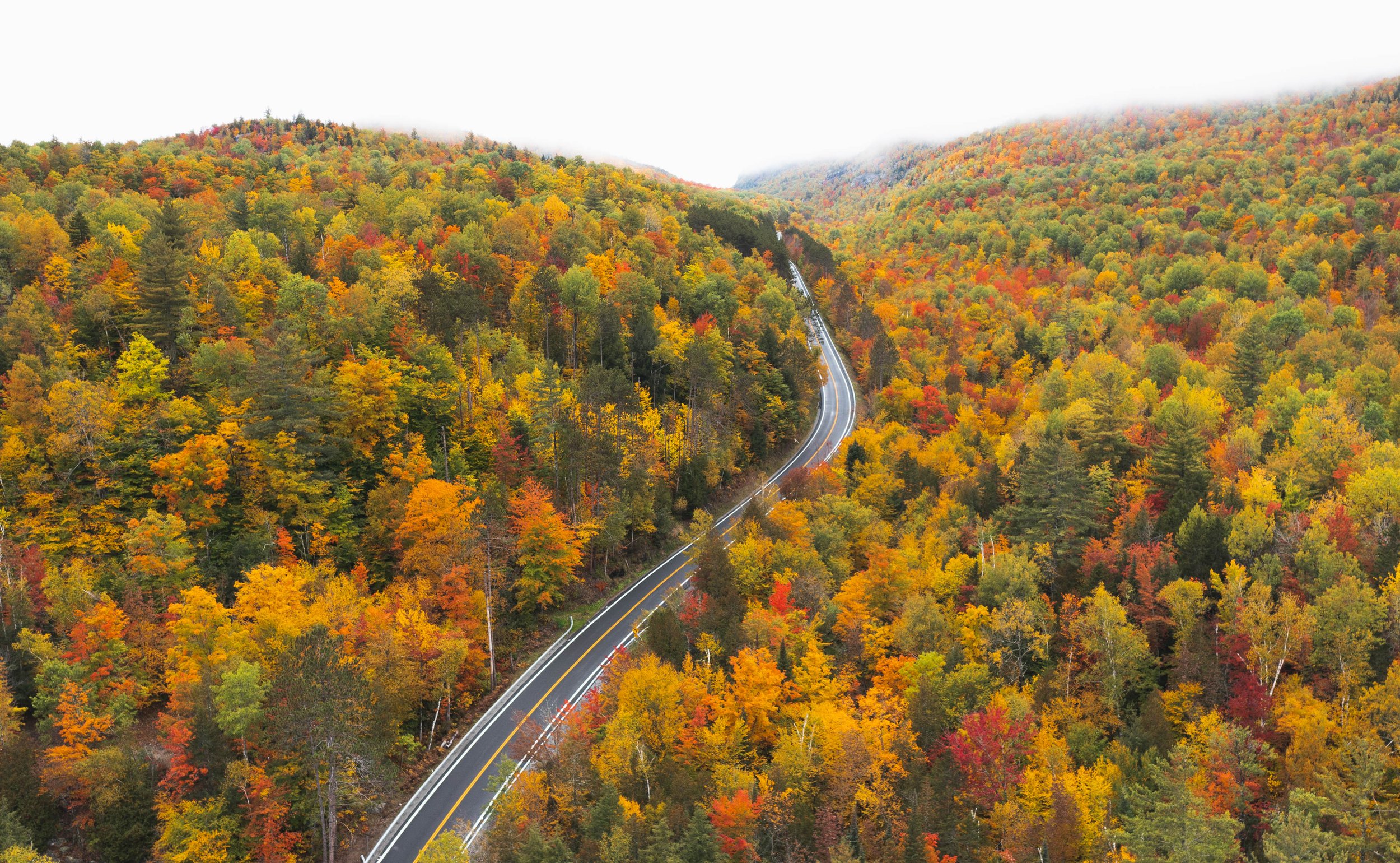 New York Fall Drone Photography Road.jpg
