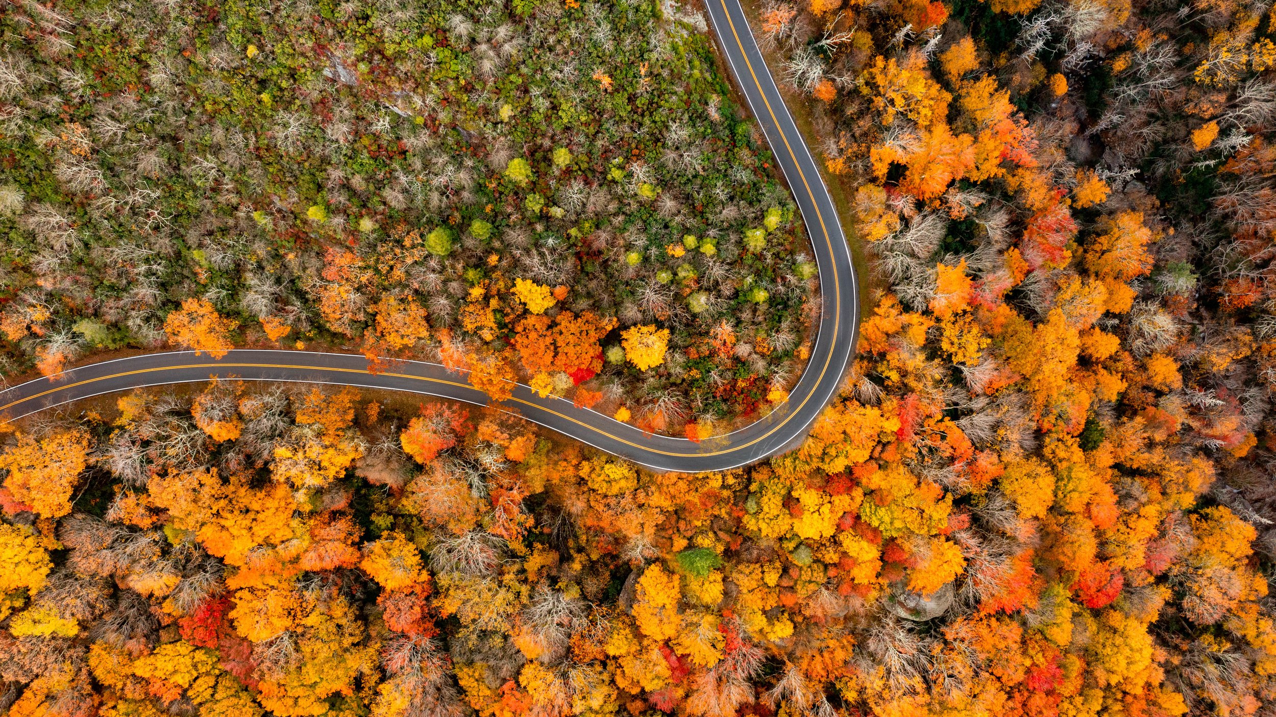 North Carolina Fall Drone Photography Road.jpg
