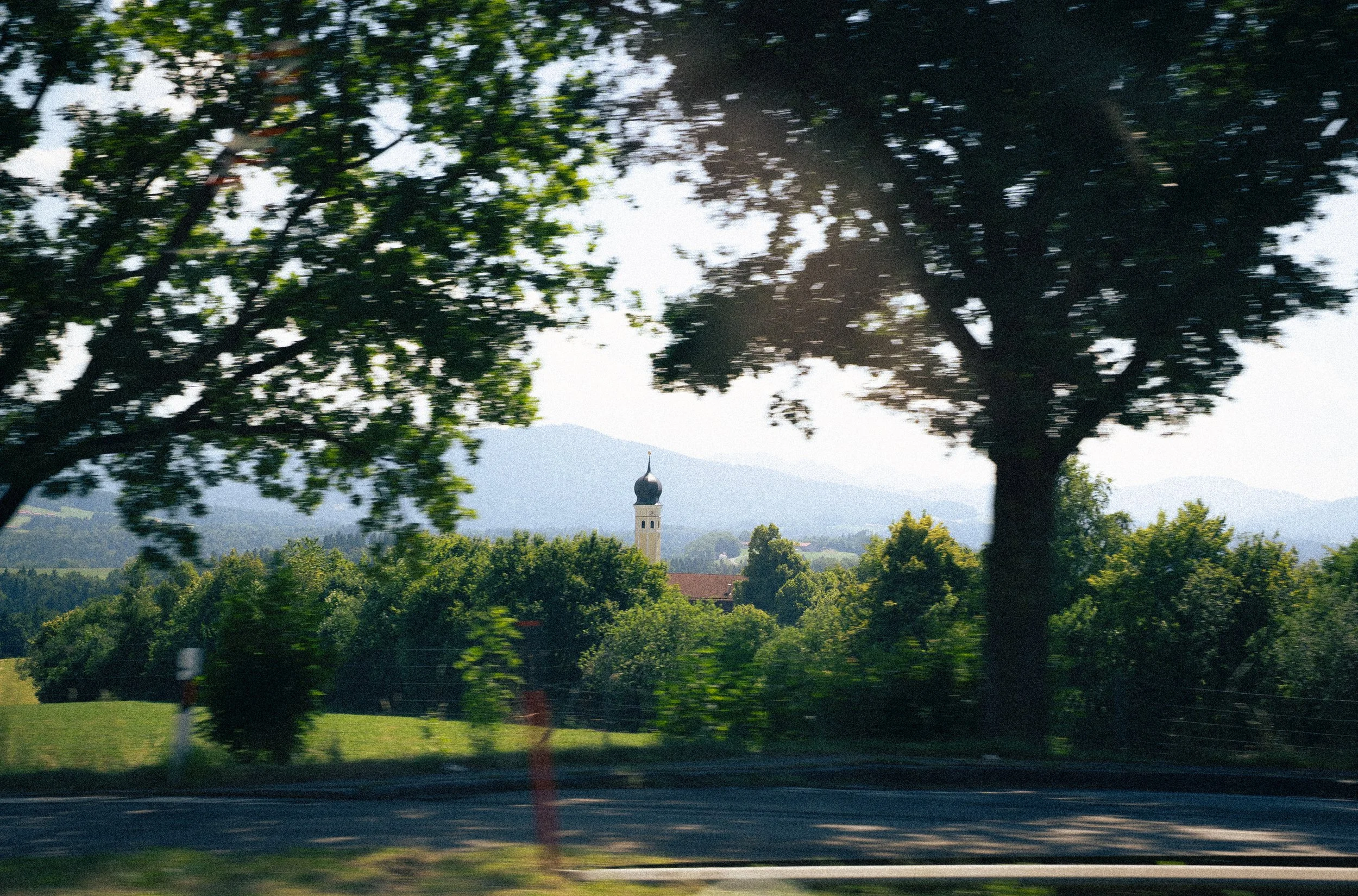 DSC09285.jpg