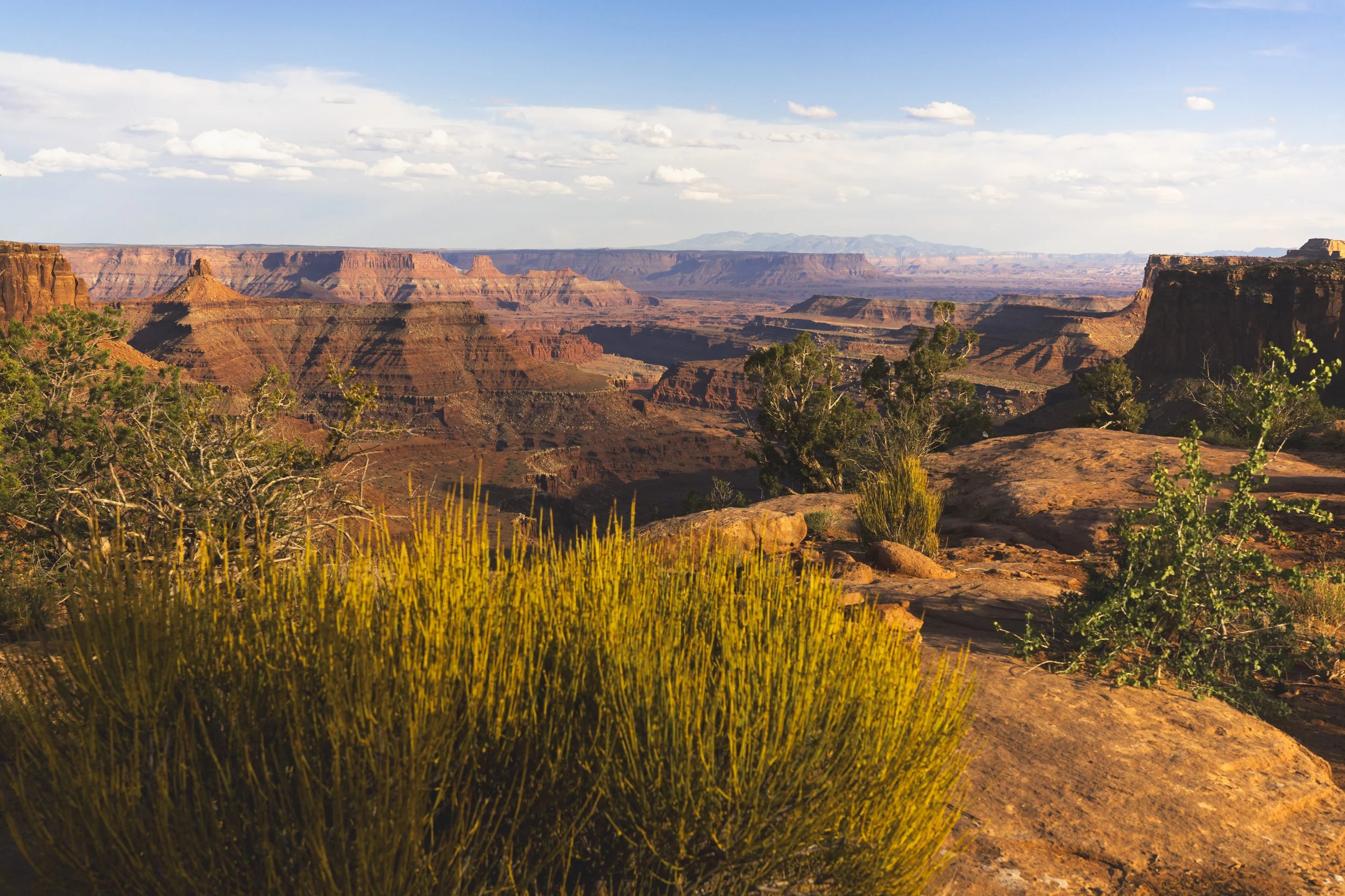 A7R02243.jpg