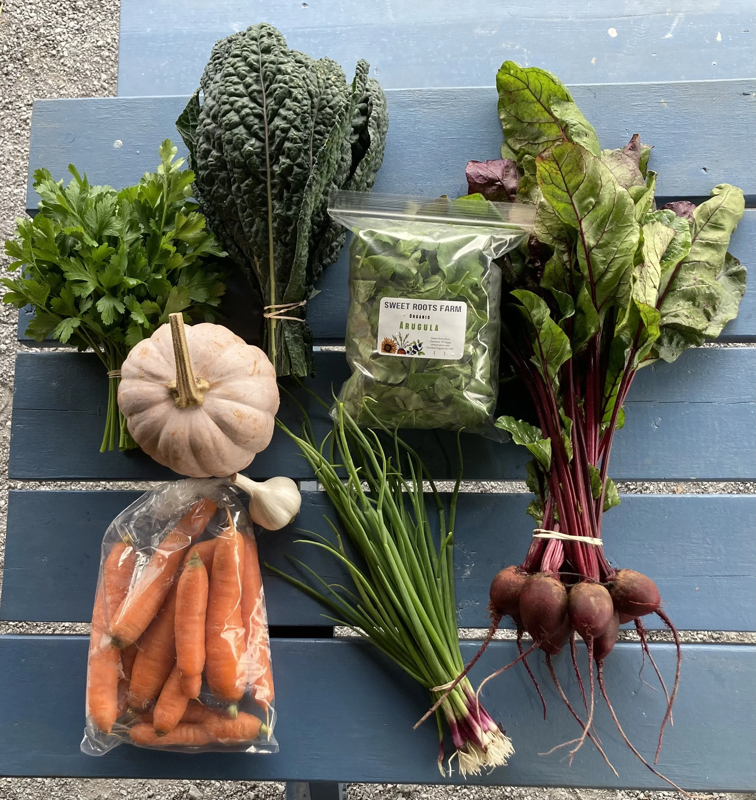 November CSA 2026