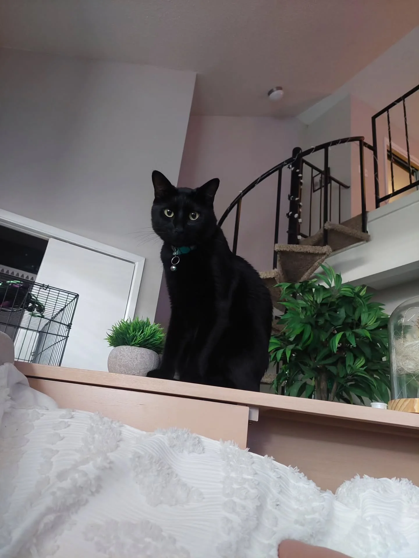 Happy October!! 🐈&zwj;⬛