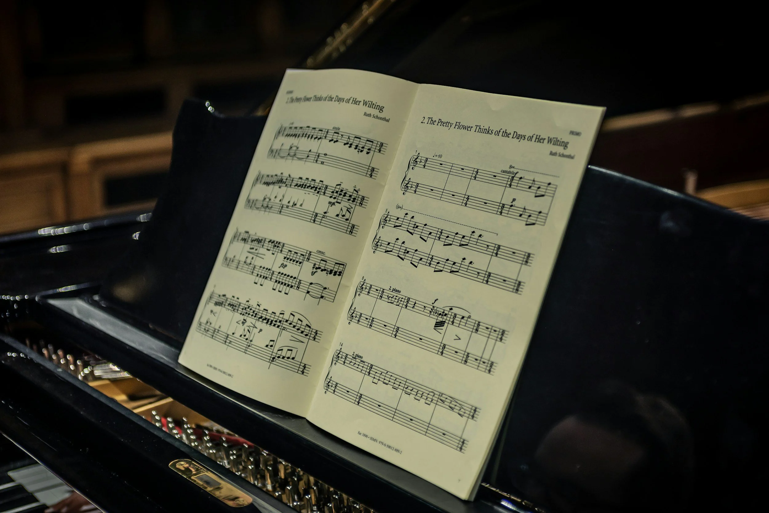 Summer Recital and Art Show