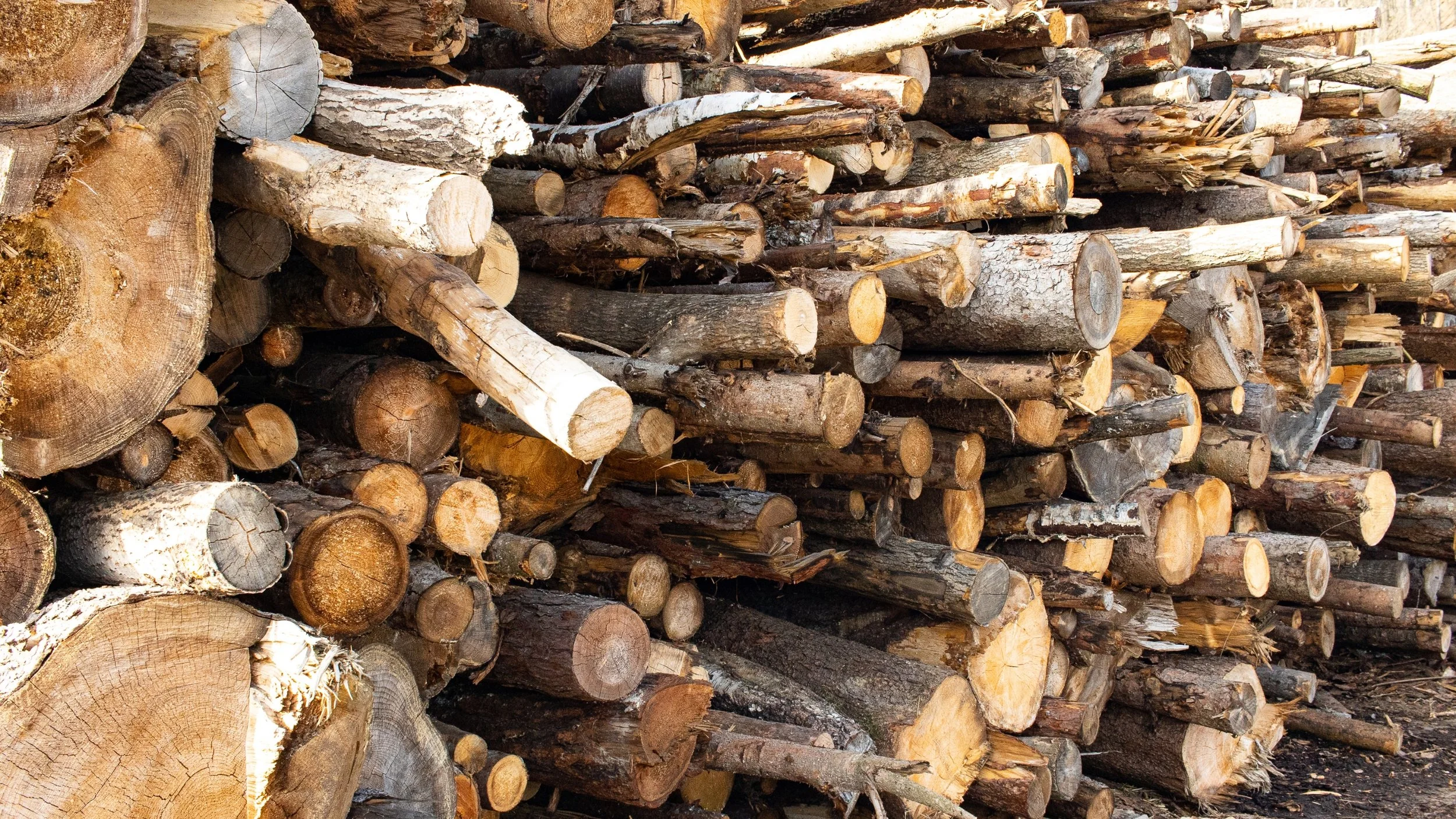 A Cord of Wood Guide for Loyalist area Homeowners