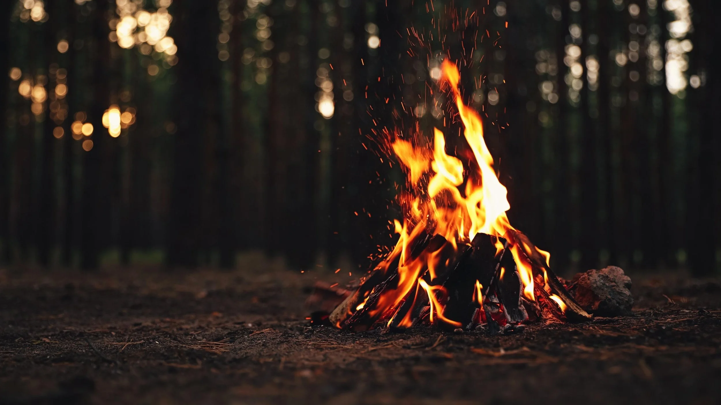 A campfire burning with orange flames and sparks in a forest at dusk.