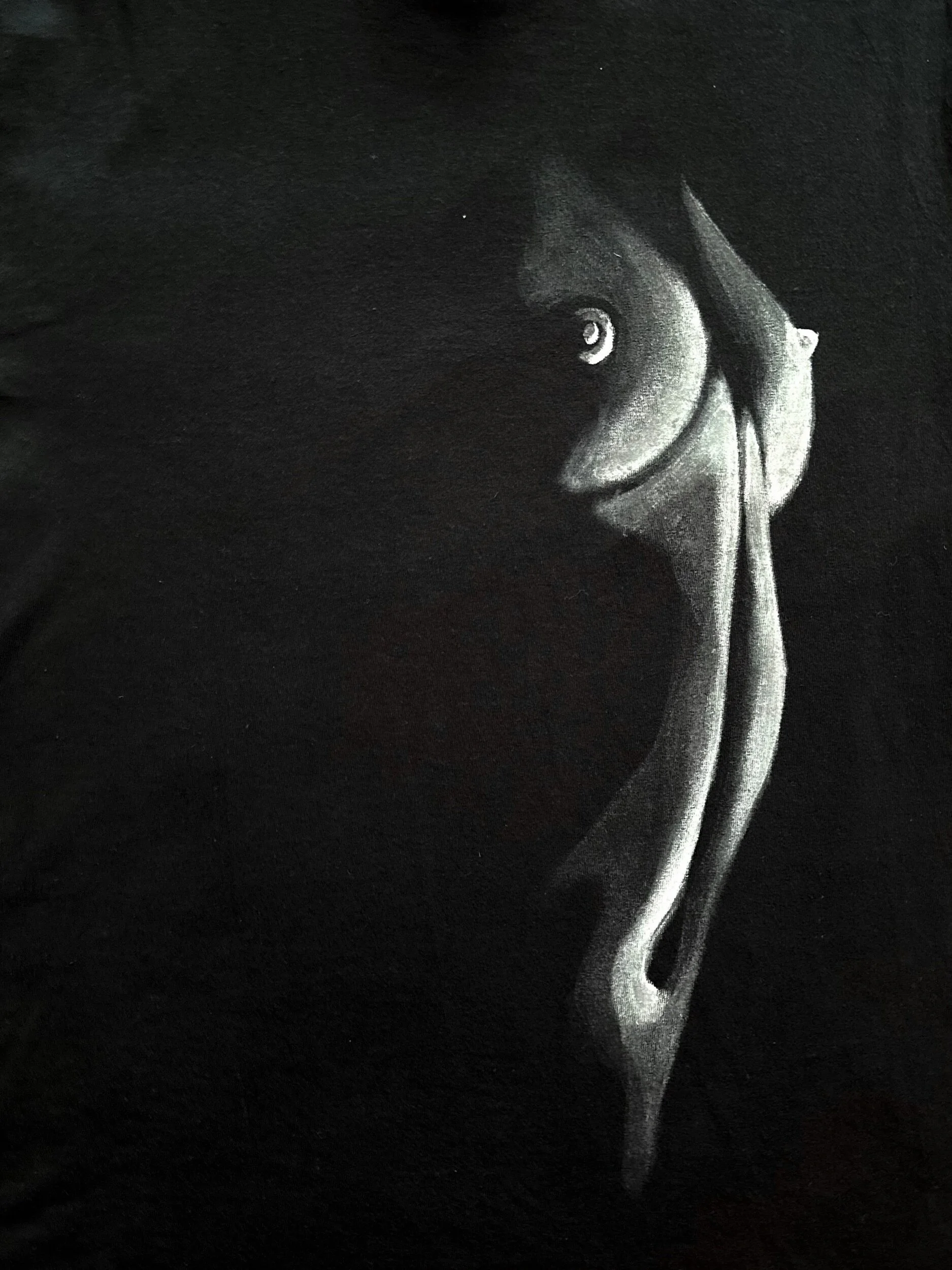 3F31904C-3894-4452-A697-A330F505062E