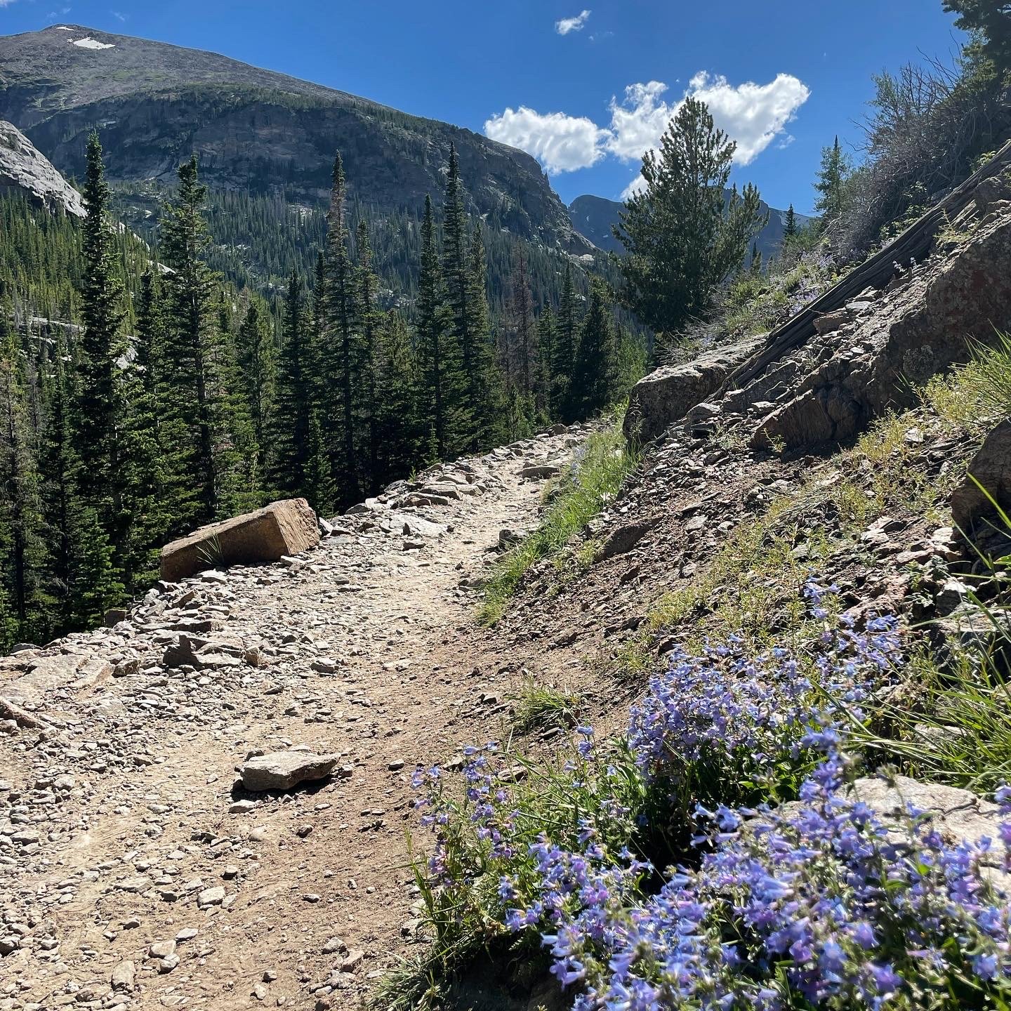 rocky mountain national park bear lake trail