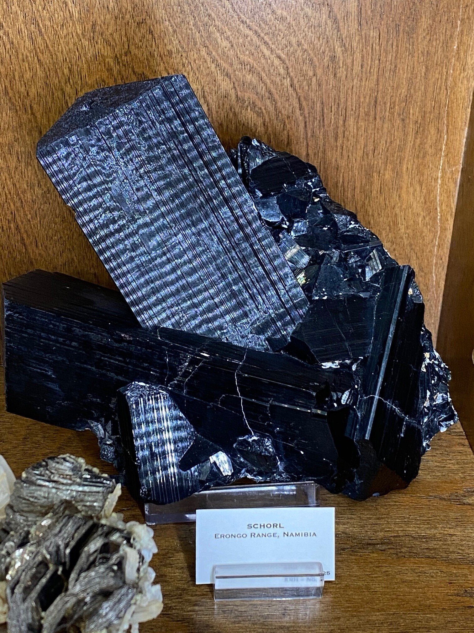 Large Schorl - Available